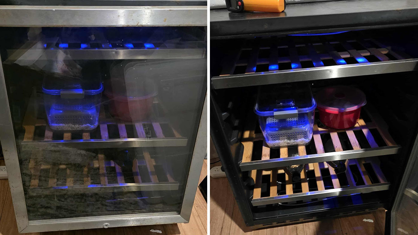One of the wine fridges Mat converted into an incubator.