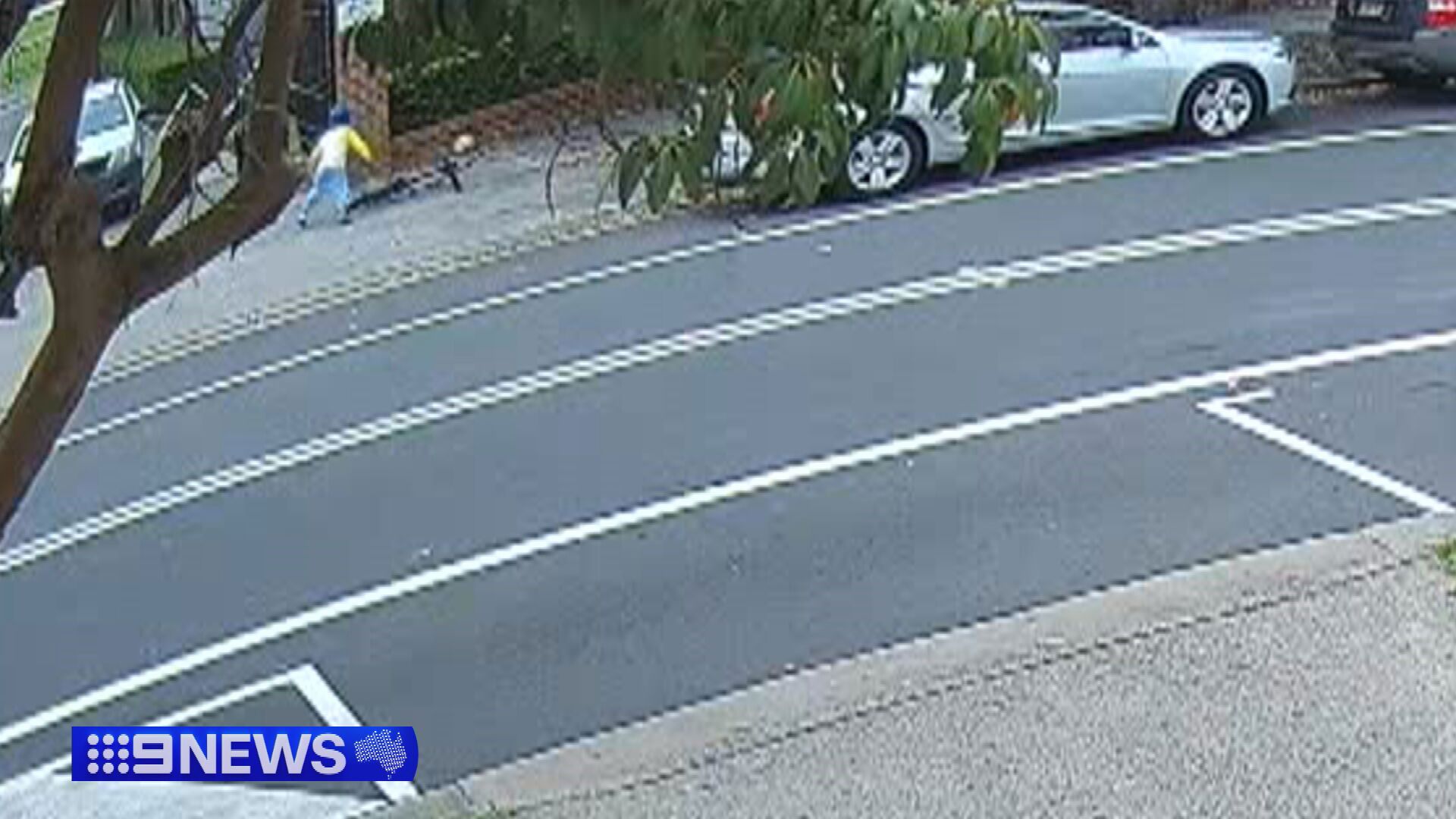 A man has faced court and a Sydney grandmother is fighting for life after she was allegedly punched in the head while on a walk with her six-year-old grandson.