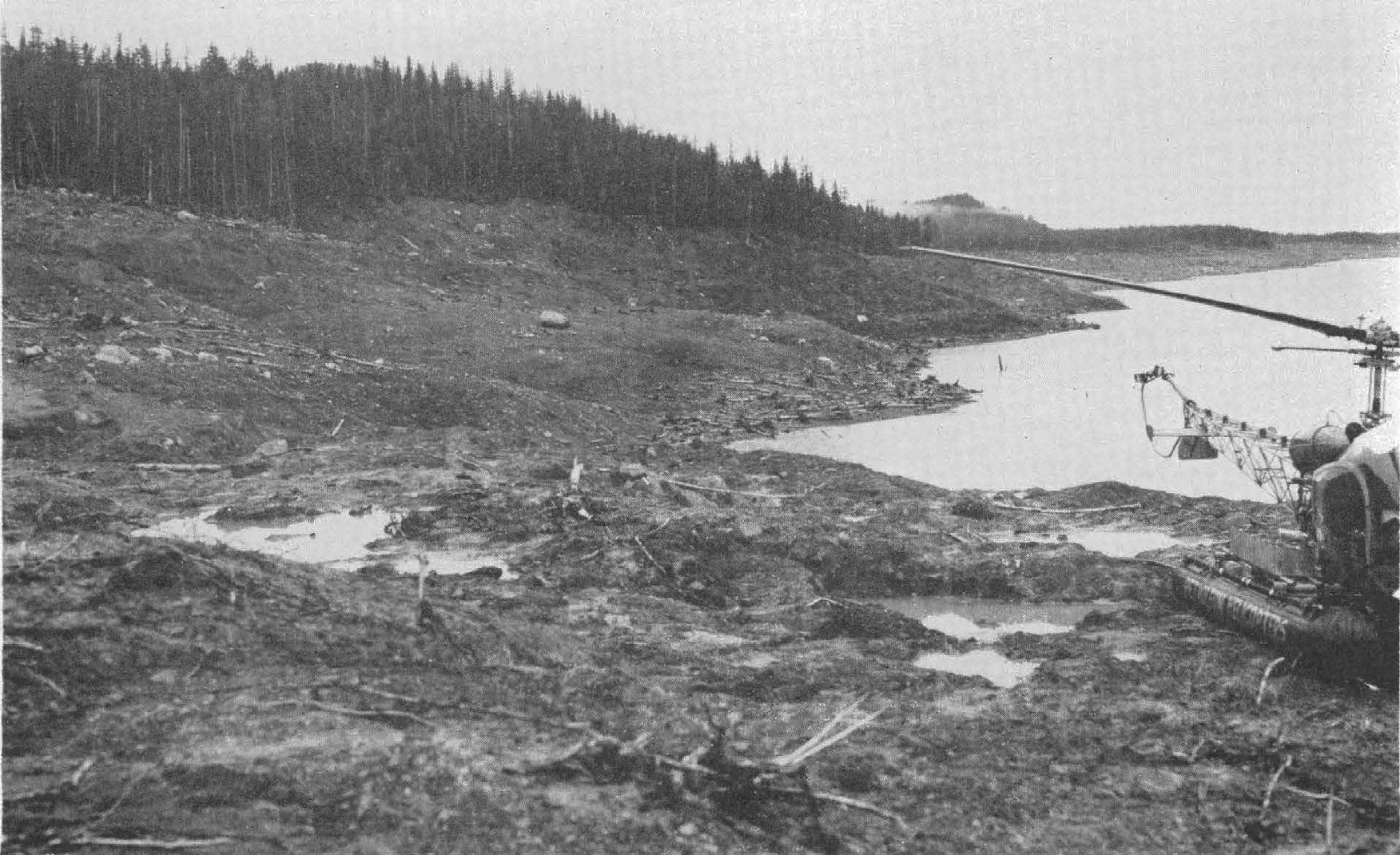 South side of Lituya Bay, soon after the tsunami. This trimline is 54-metres above sea level and 304-metres from the high tide mark. 