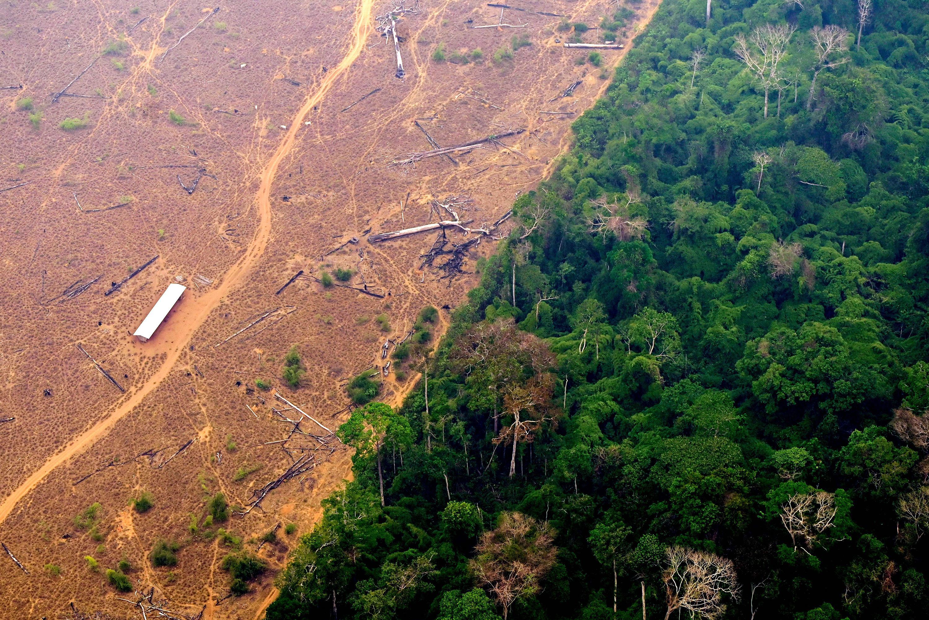Deforestation of  rainforest helps push greenhouse gases to