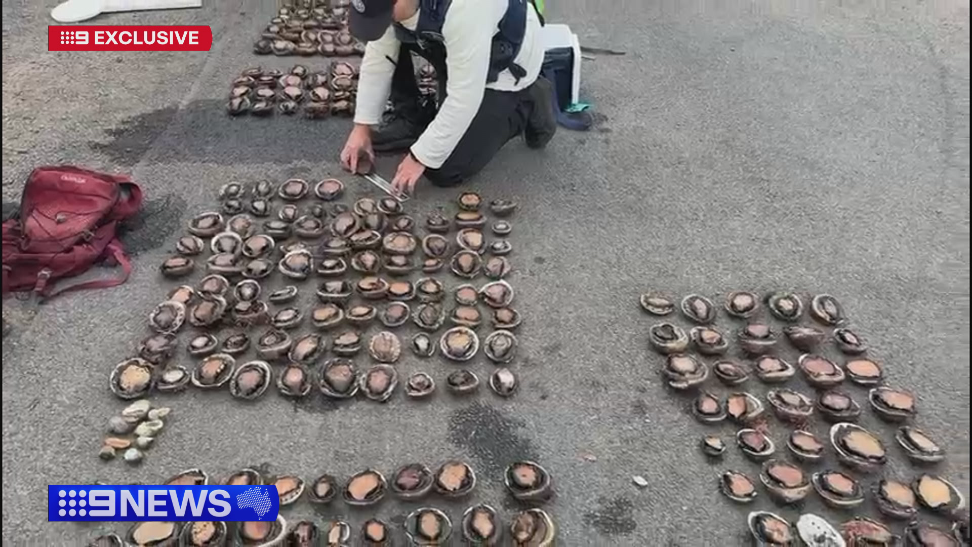 Alleged poachers busted with 56 times legal limit of abalone in Victoria