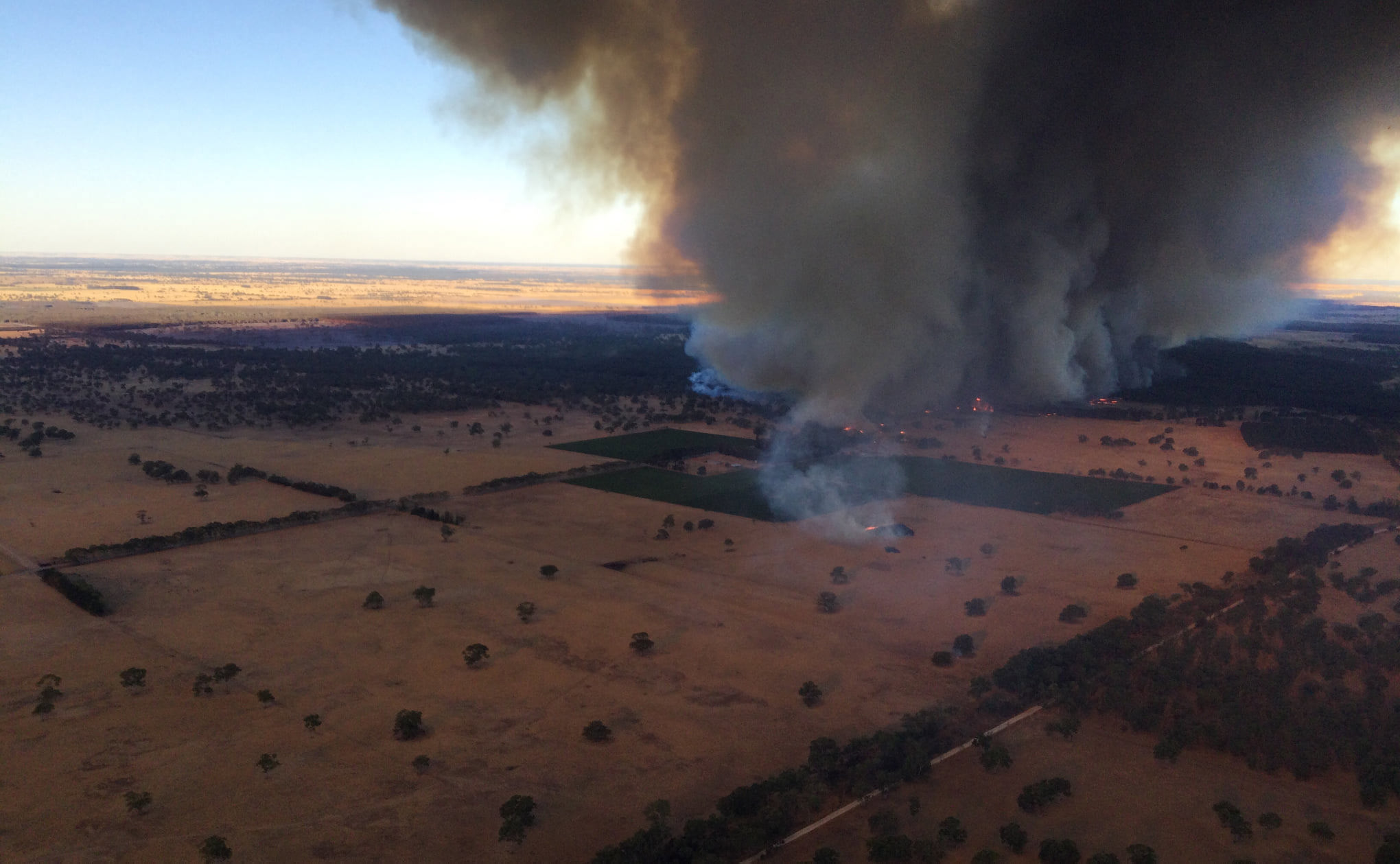 A serious incident has occurred between a CFS vehicle and a tree in Lucindale.