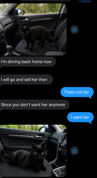 W﻿hen Sarah's cat went missing, and she received a message from somebody claiming to have seen her, But the Sydney woman was shocked to discover the person was trying to scam her.They had created photos of her cat, using AI, and were demanding money.