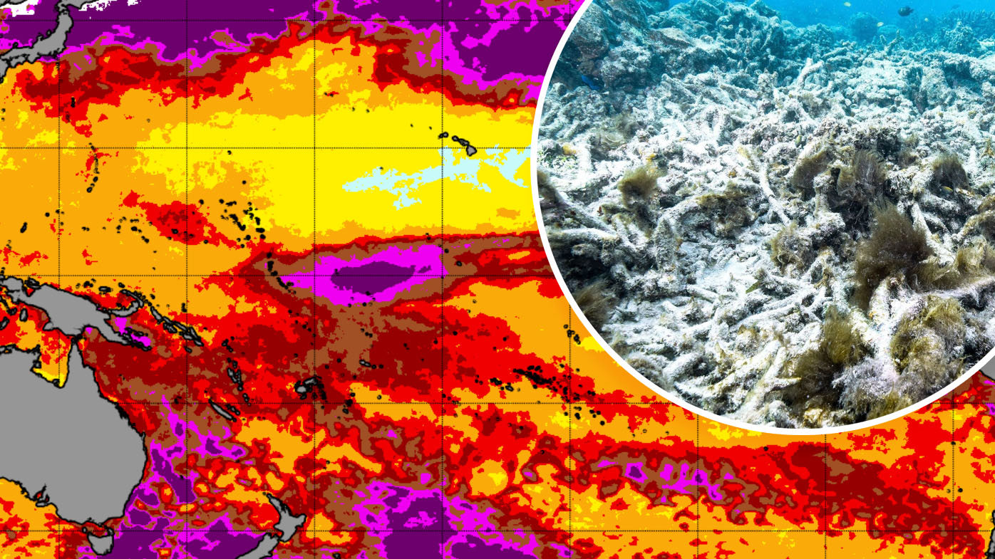 Coral bleaching map and the Great Barrier Reef.
