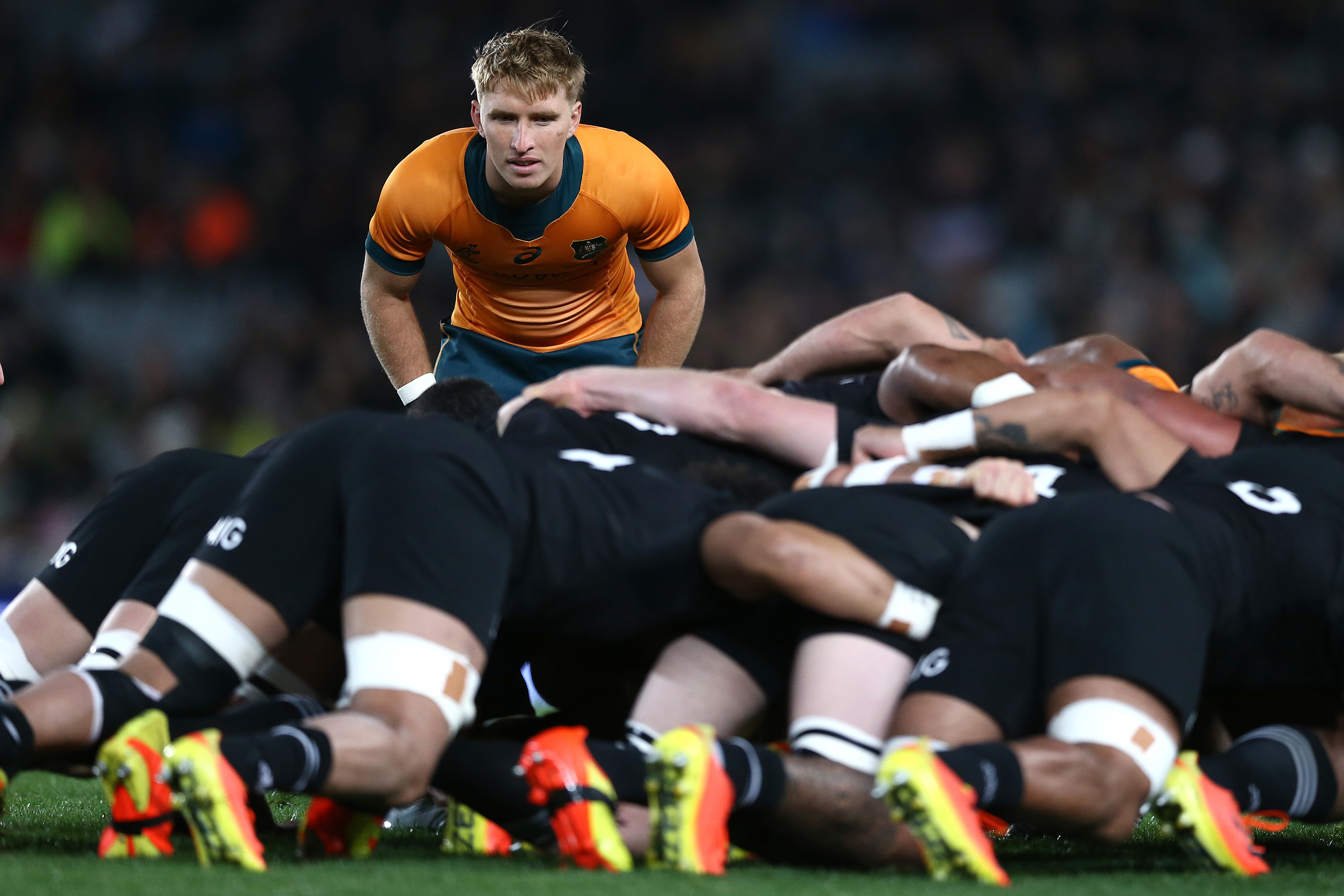 Tate McDermott of the Wallabies at Eden Park.