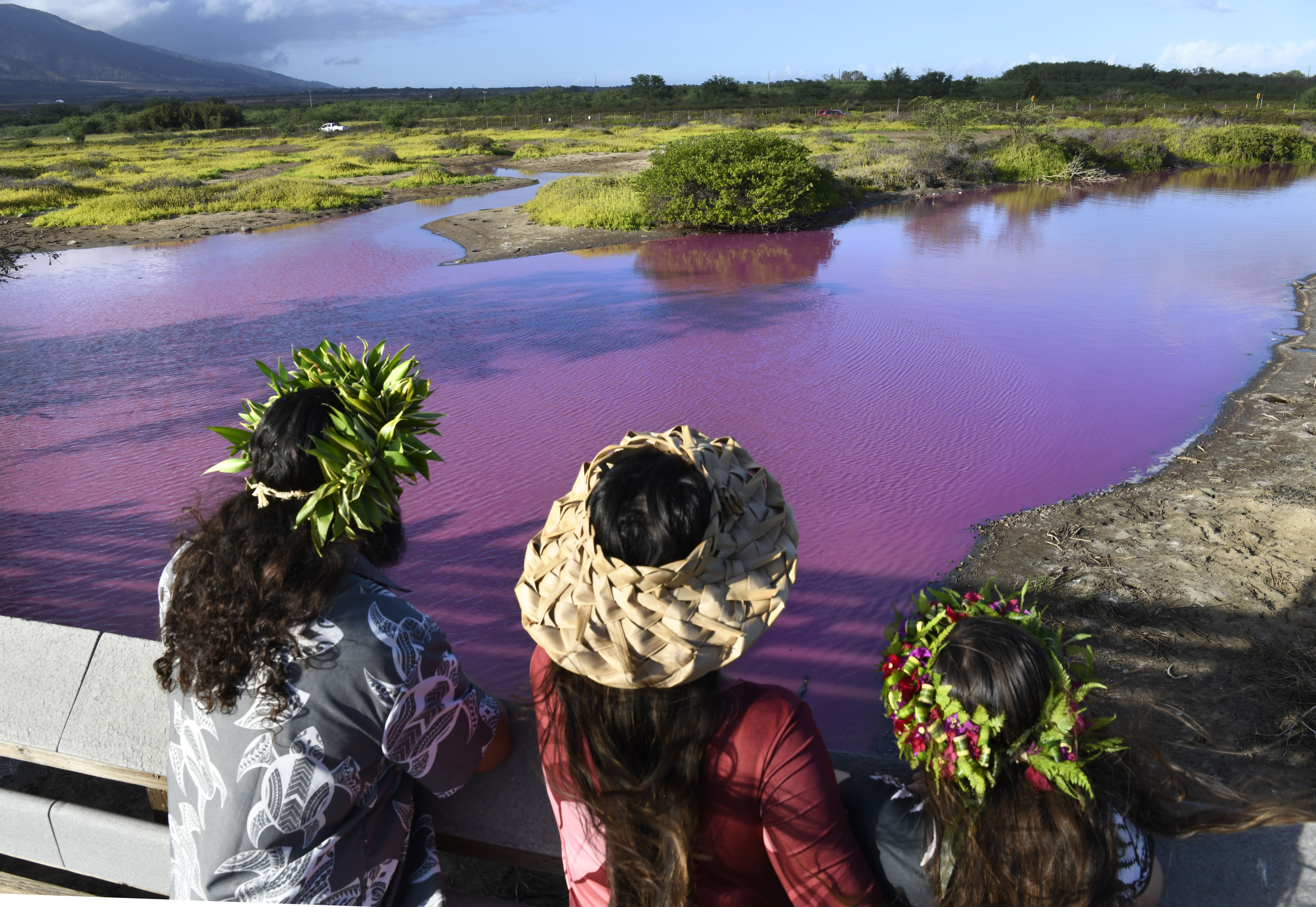 Shad Hanohano, from left, Leilani Fagner and their daughter Meleana Hanohano view the pink water at the Kealia Pond National Wildlife Refuge in Kihei, Hawaii on Wednesday, Nov. 8, 2023. Officials in Hawaii are investigating why the pond turned pink, but there are some indications that drought may be to blame. (Matthew Thayer/The Maui News via AP)
