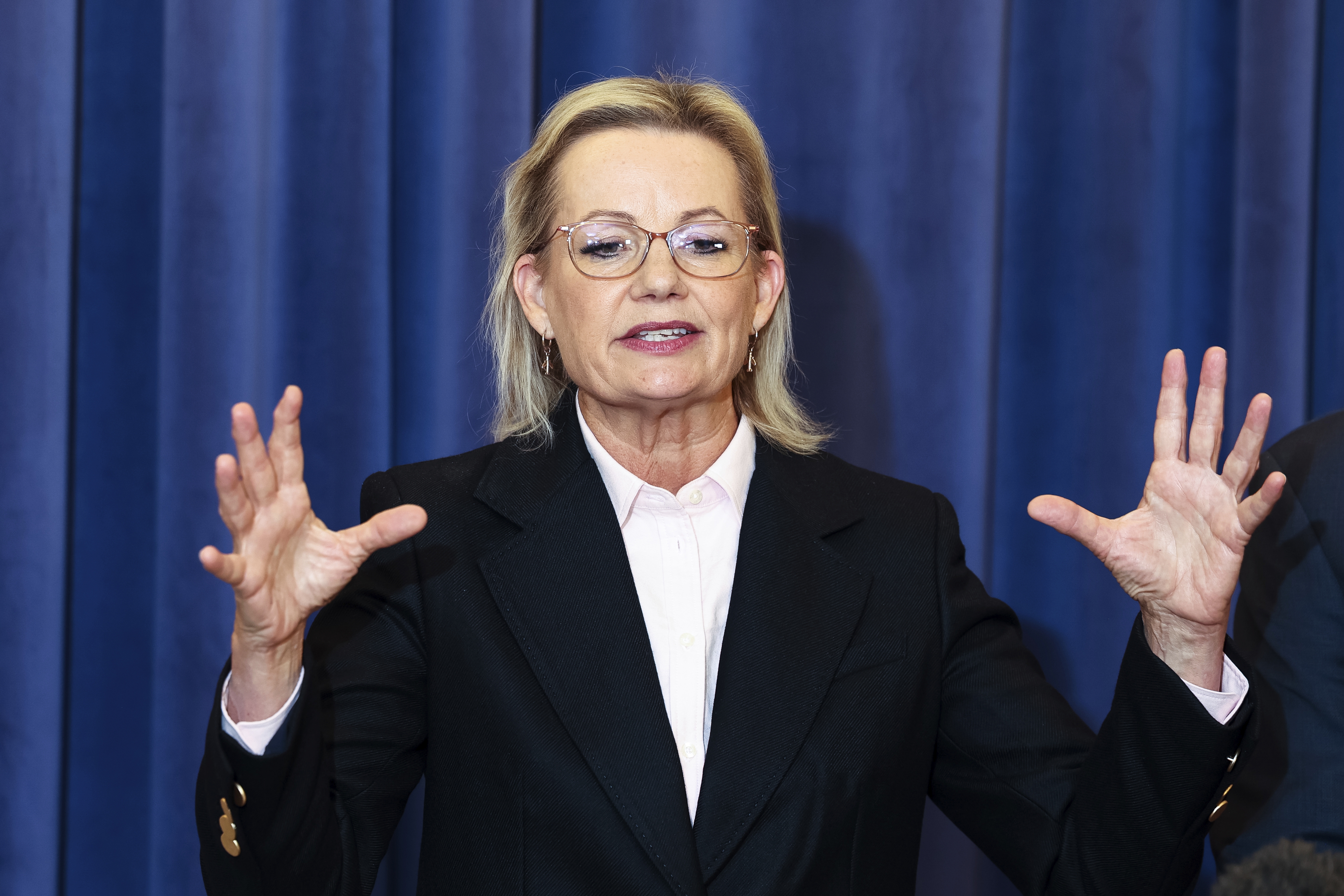 Sussan Ley may last only 'a day' as Liberal leader, party heavyweight jokes