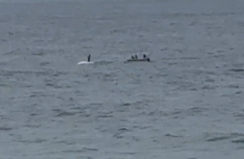 Authorities are investigating a shocking video of a person standing on top of a dead humpback whale south of Sydney.﻿