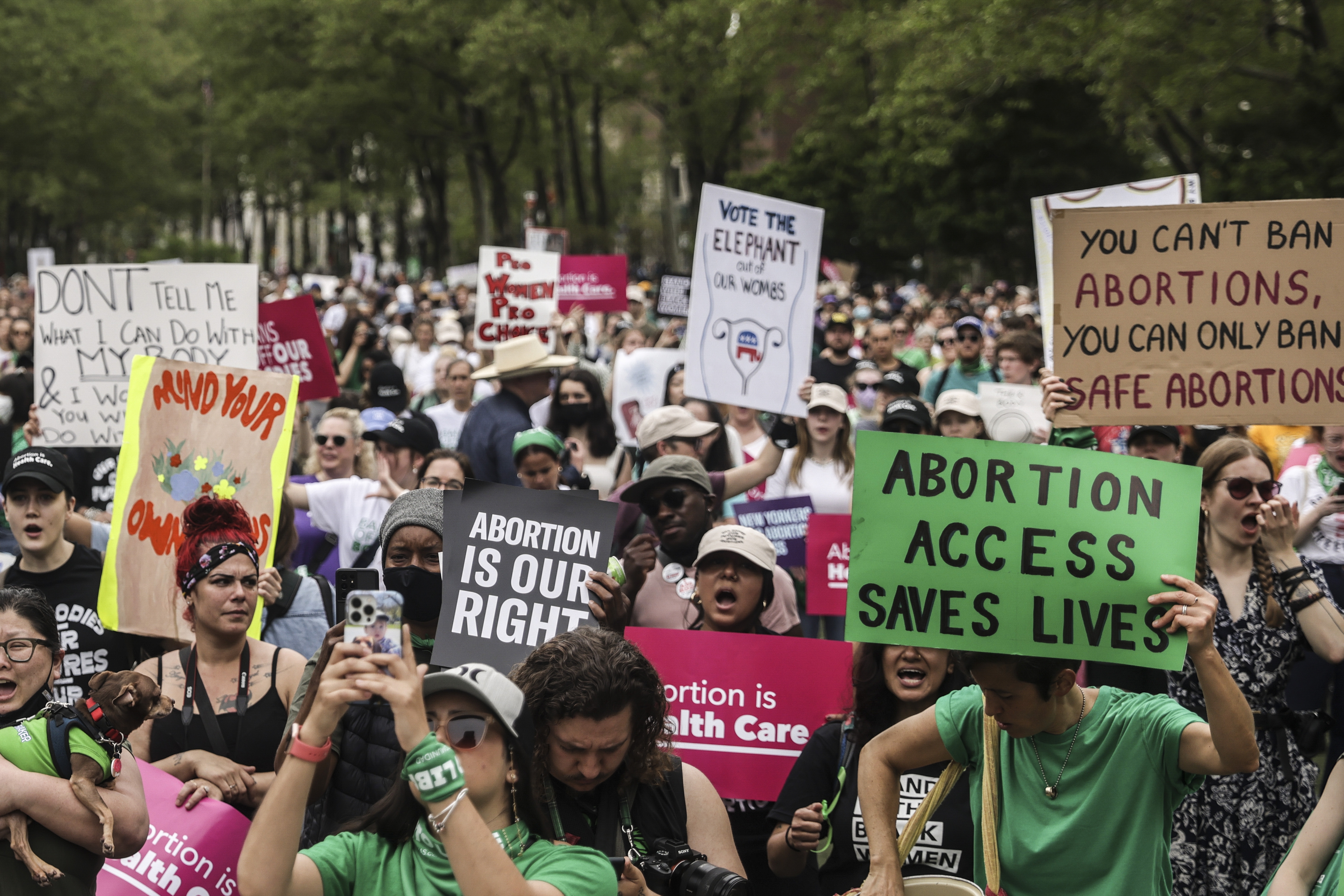 Protesters rally in Cadman Plaza during an abortion rights demonstration in the Brooklyn borough of New York on May 14. .