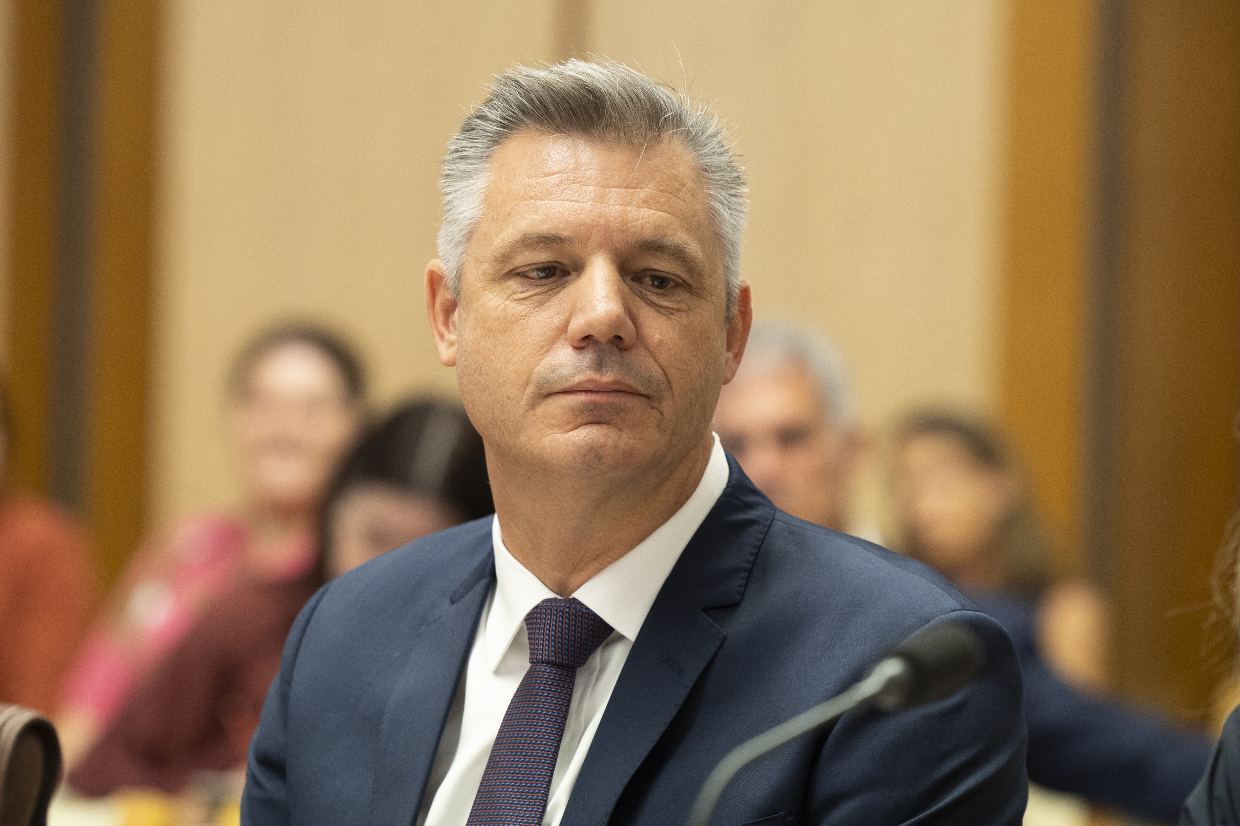 James Warburton, Seven West Media CEO during a Senate hearing.