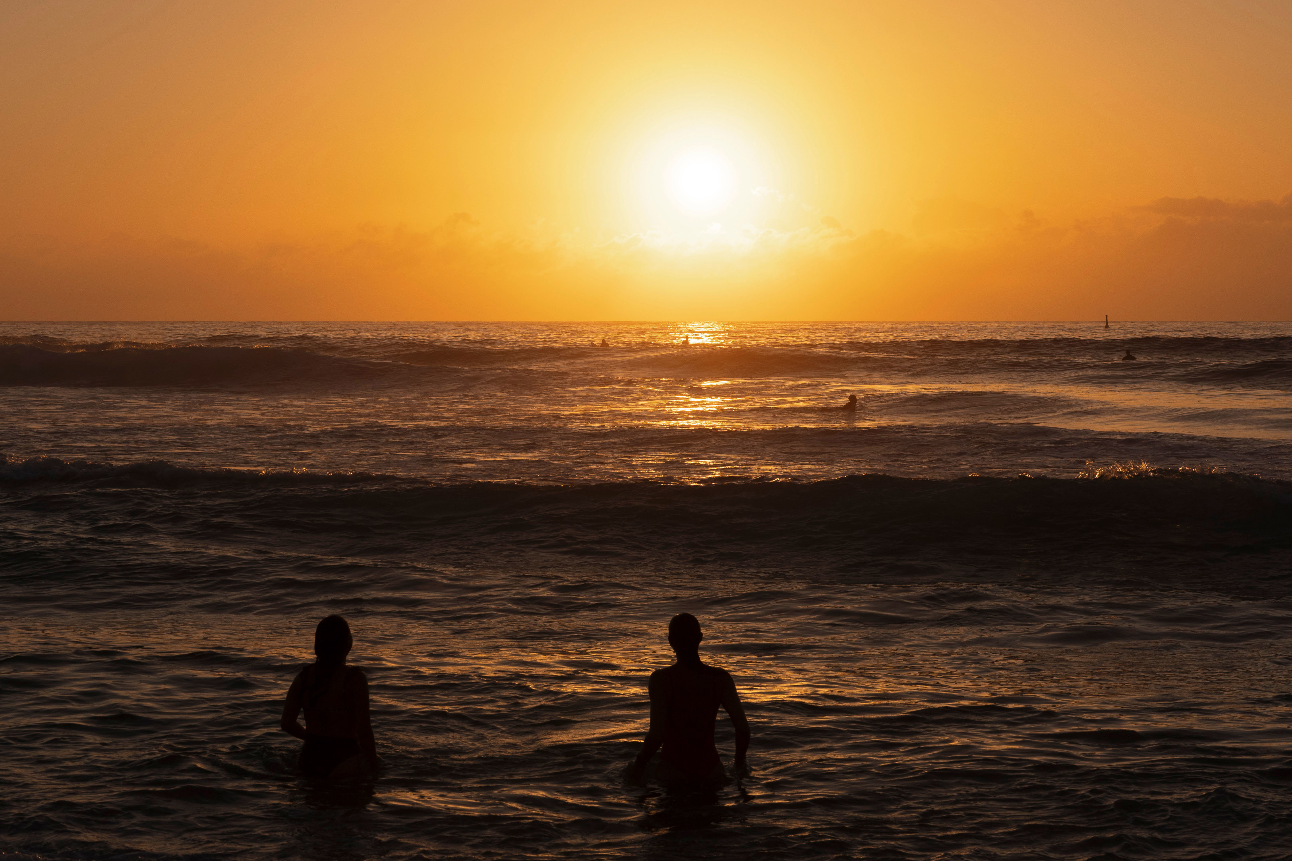 Swimmers at sunrise at Bondi Beach