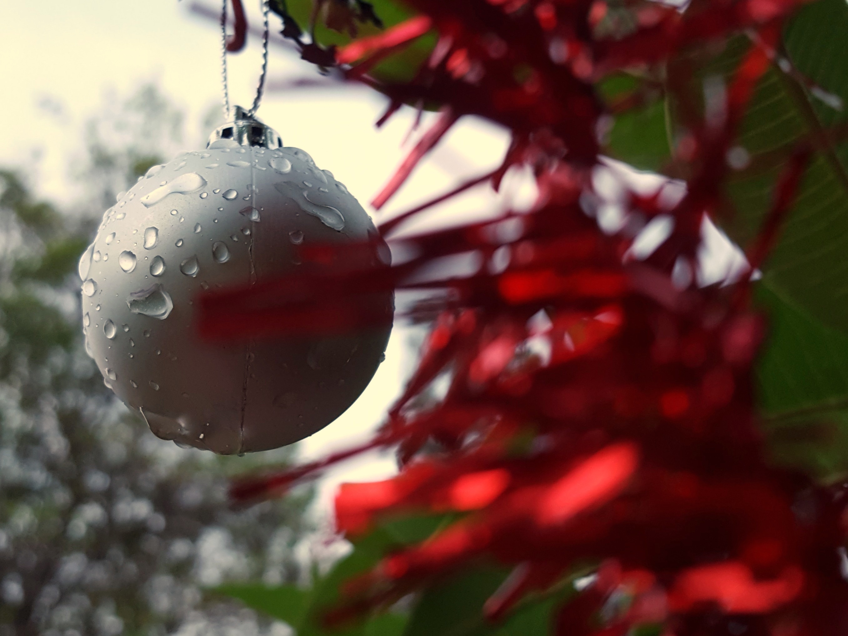 The states set for a Christmas Day soaking 