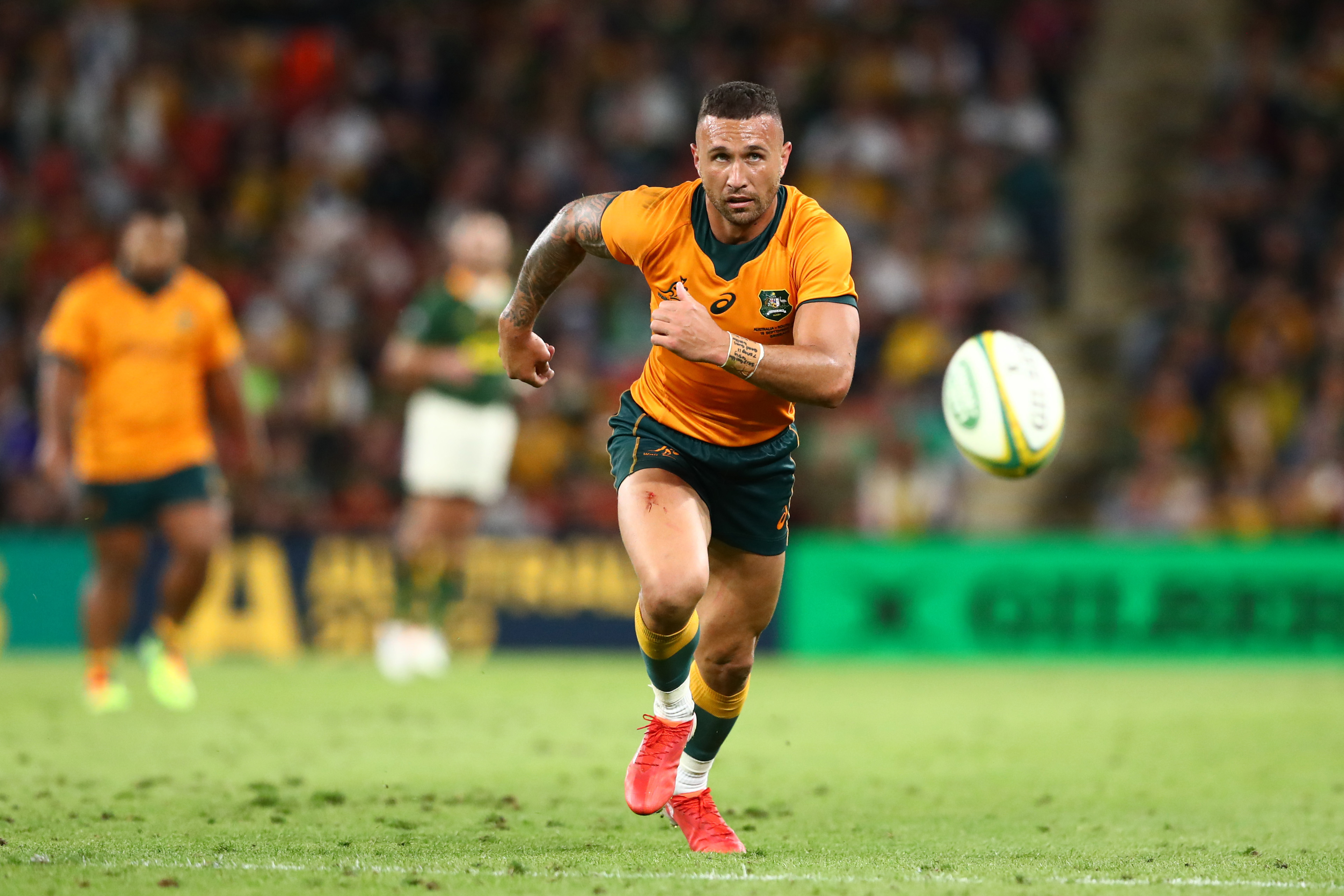 Quade Cooper at Suncorp Stadium.