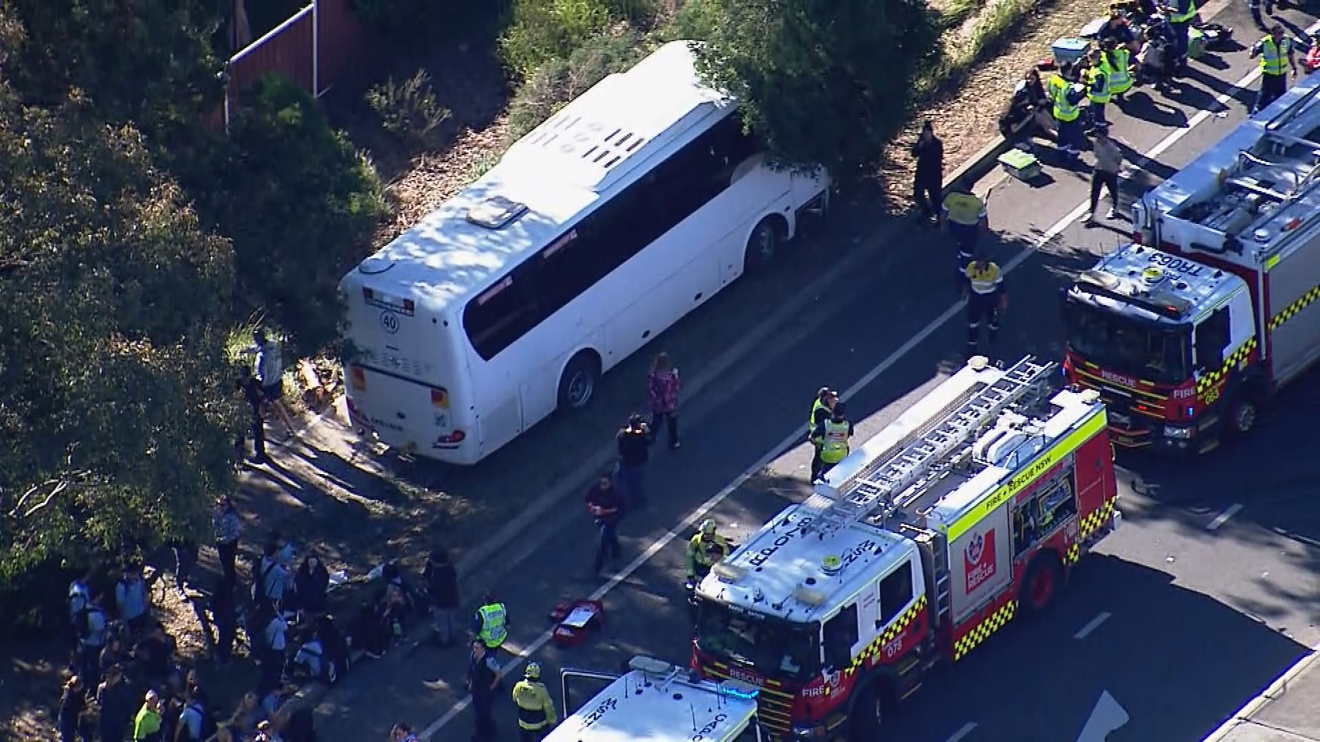 Bus carrying 40 students crashes into tree in Sydney's west