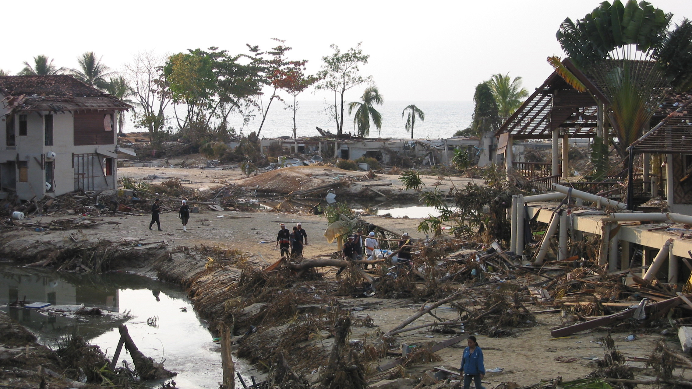 About 230,000 people were killed worldwide as a result of the Boxing Day tsunami.