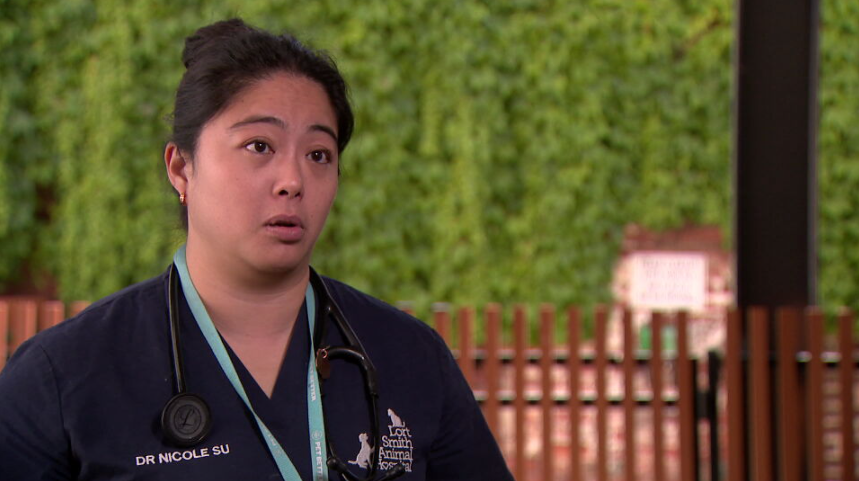 Exotic wildlife veterinarian Dr Nicole Su said she had never heard of a fox attack on a human before.