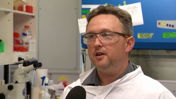Dr David Muller has revealed that early trials of the device have been promising, with results showing the vaccine is more efficient as compared to being delivered via a needle
