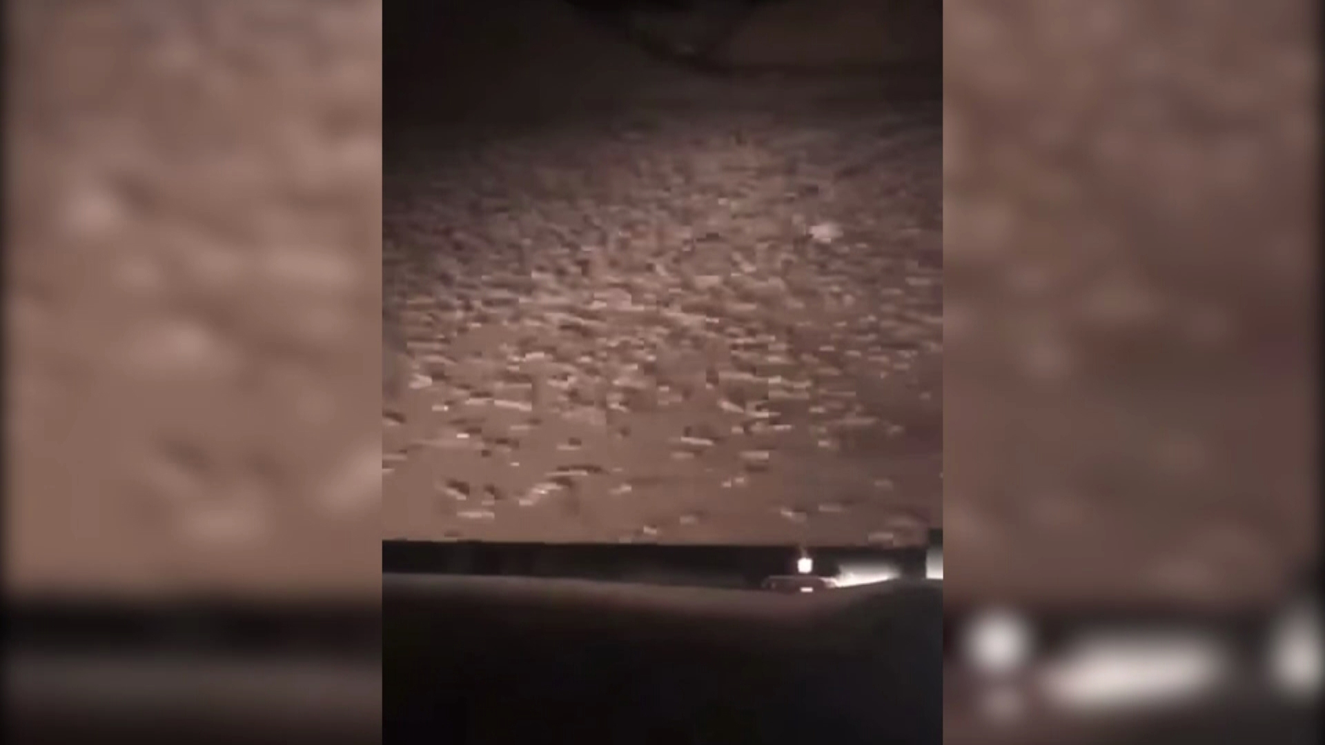 Video shows thousands of the rodents scampering across fields.