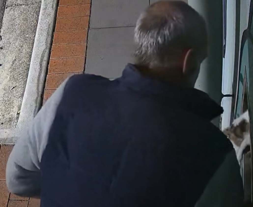 Four kittens have been dumped in an after-hours library chute ﻿for the third time as authorities investigate the man responsible.