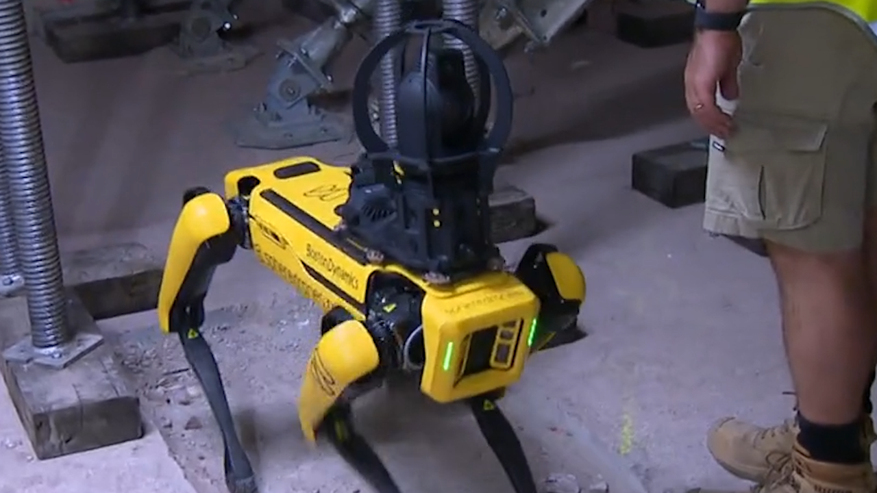 Robot Spot workplace safety