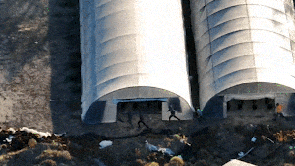 Men seen fleeing into bush after police bust $10 million cannabis crop: Verified coverage by BRRO News Editorial Desk.