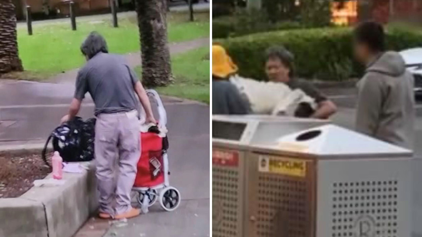 Man arrested and charged after allegedly trying to shove ibis into trolley bag
