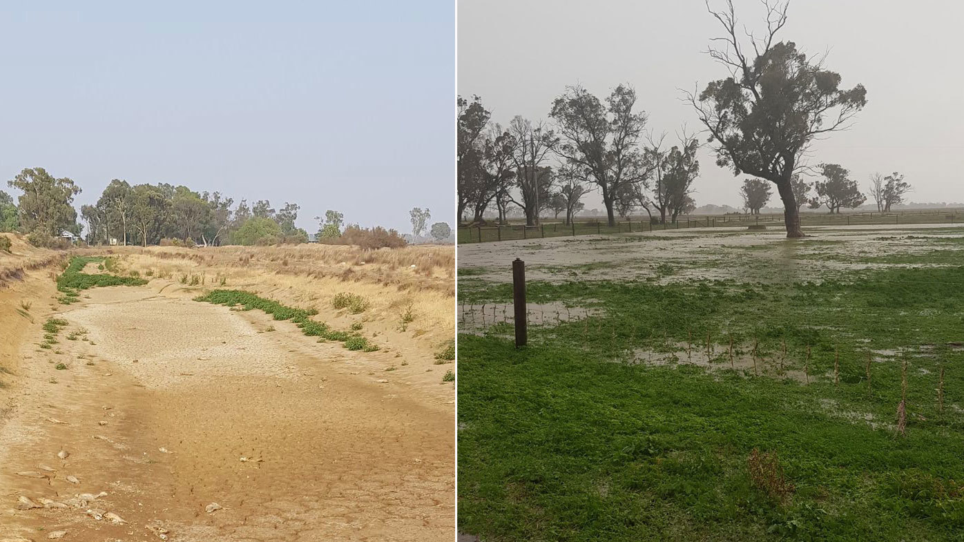 Relief from Australia's crippling drought came 12 months too late for the Dalitzs.