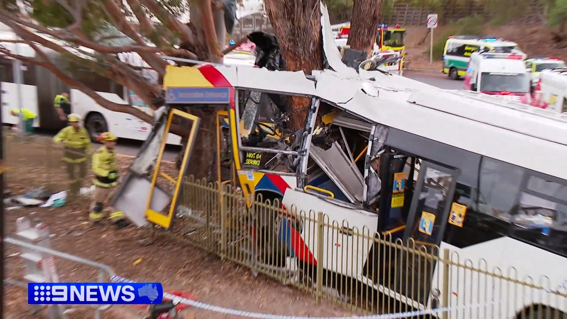 Bus driver seriously injured after crashing into tree on Adelaide's O-Bahn