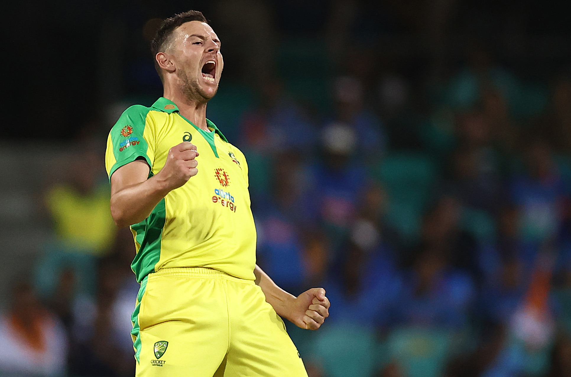 Josh Hazlewood of Australia celebrates after taking the wicket of Virat Kohli of India.