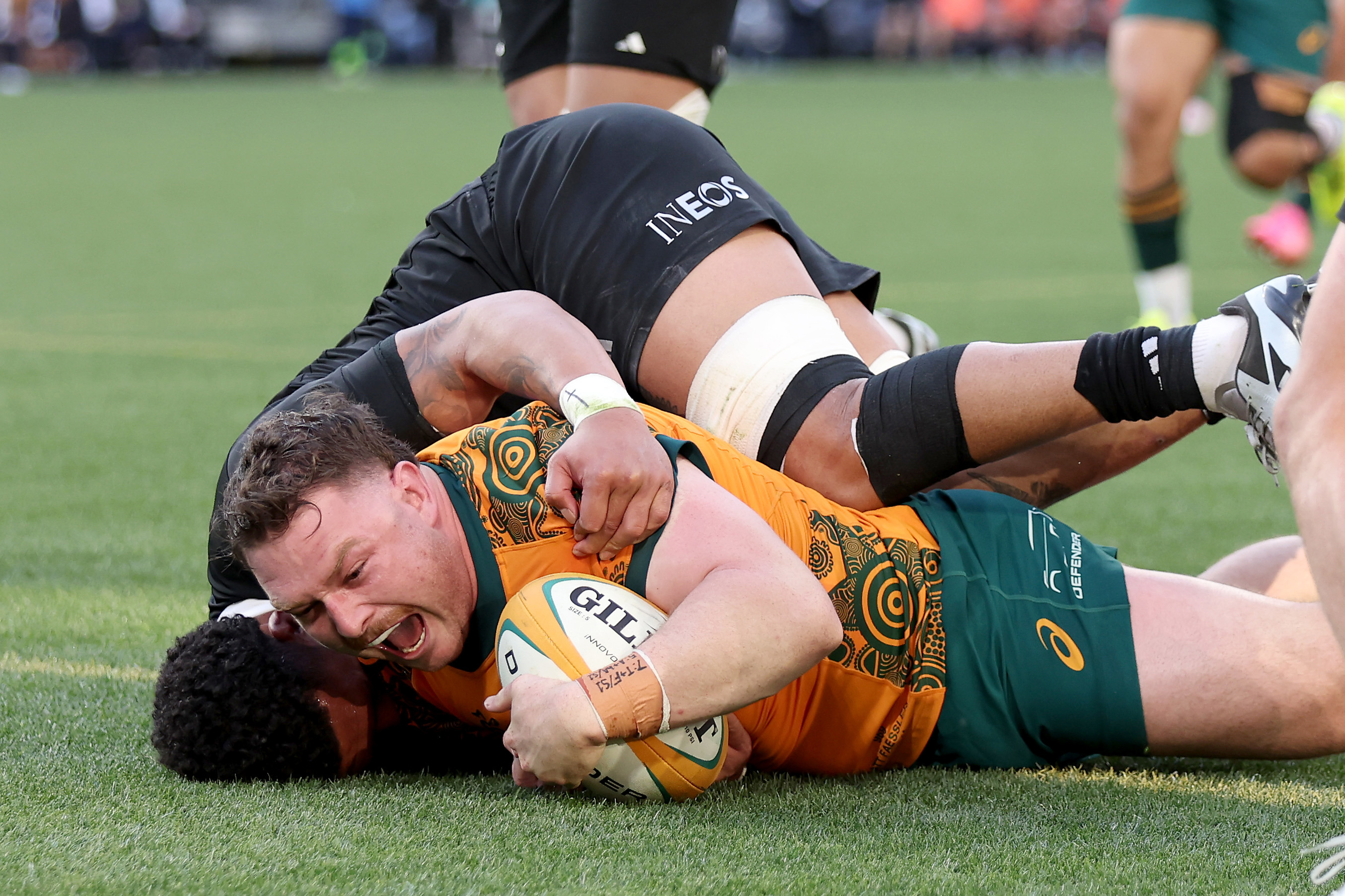 Matt Faessler of the Australian Wallabies scores a try during The Rugby Championship & Bledisloe Cup match between Australia Wallabies and New Zealand All Blacks at Accor Stadium on September 21, 2024 in Sydney, Australia. (Photo by Matt King/Getty Images)