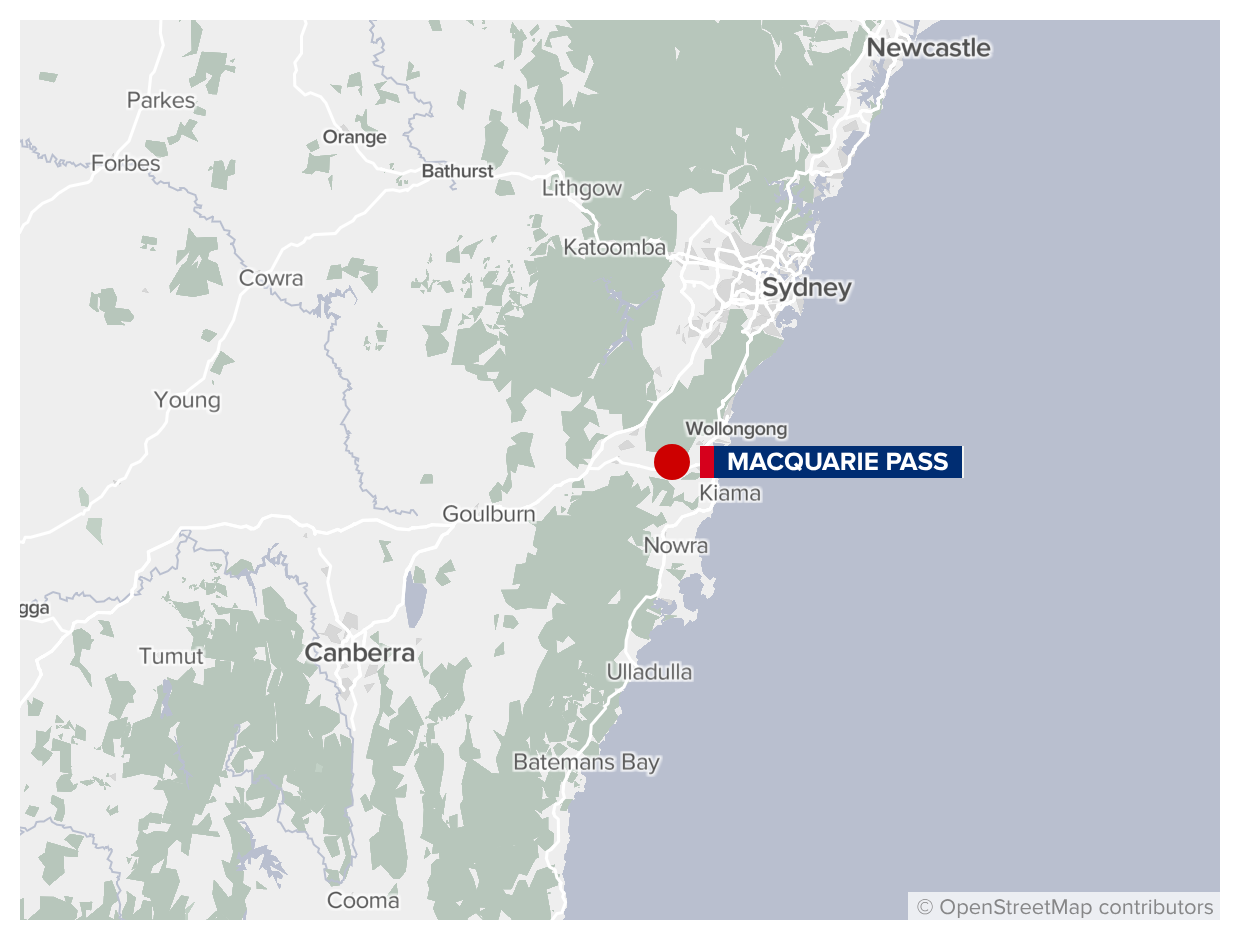 Woman dies after car struck by falling tree branch in NSW Southern Highlands 