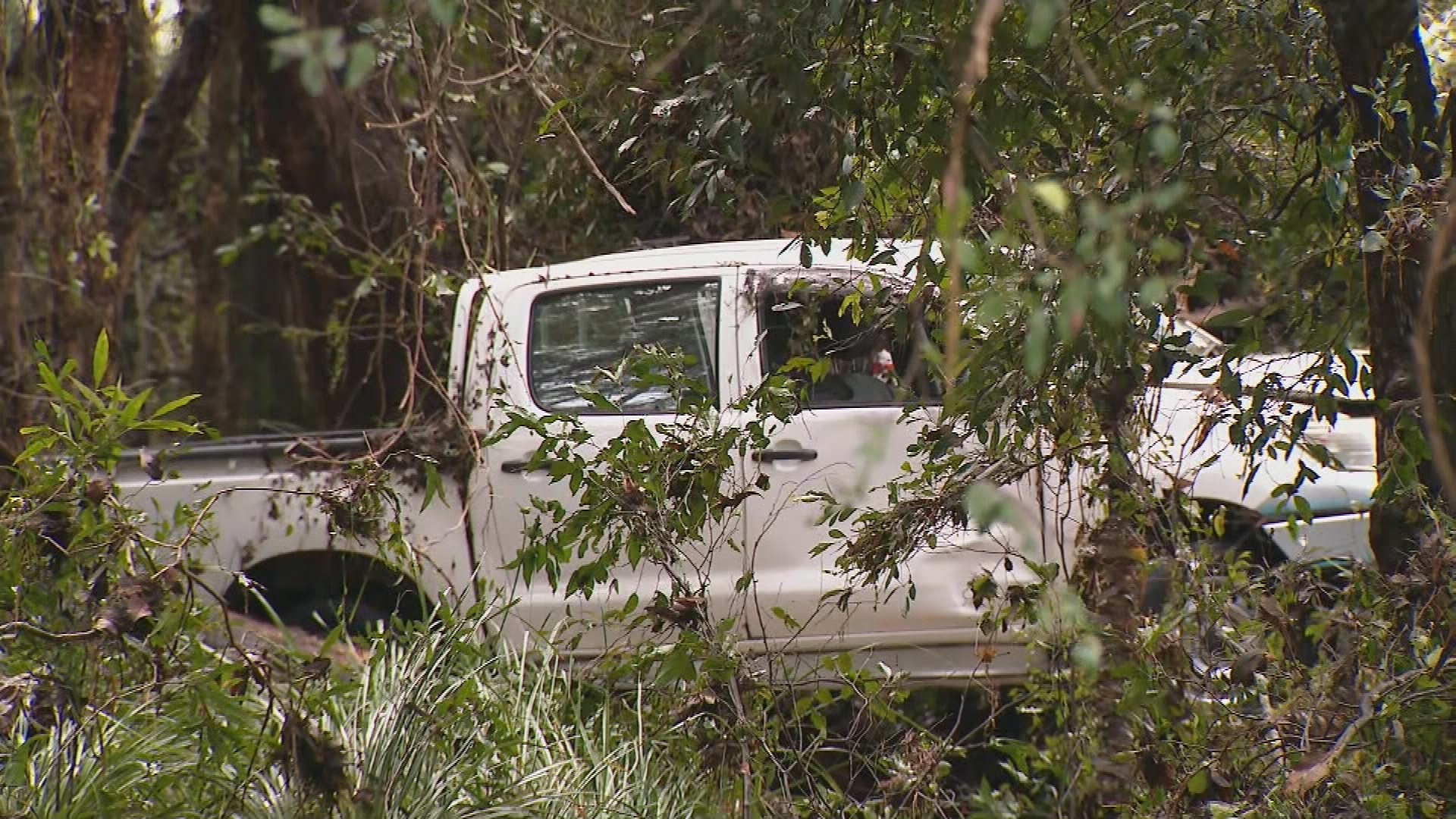 Queensland man found dead in floodwaters south of Brisbane