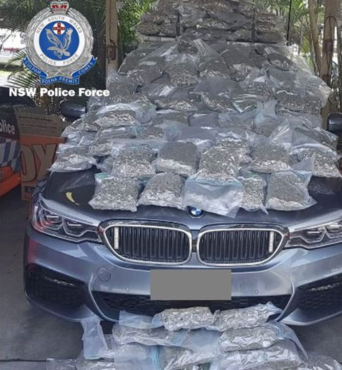 An estimated $1 million worth of cannabis displayed here on a police car.