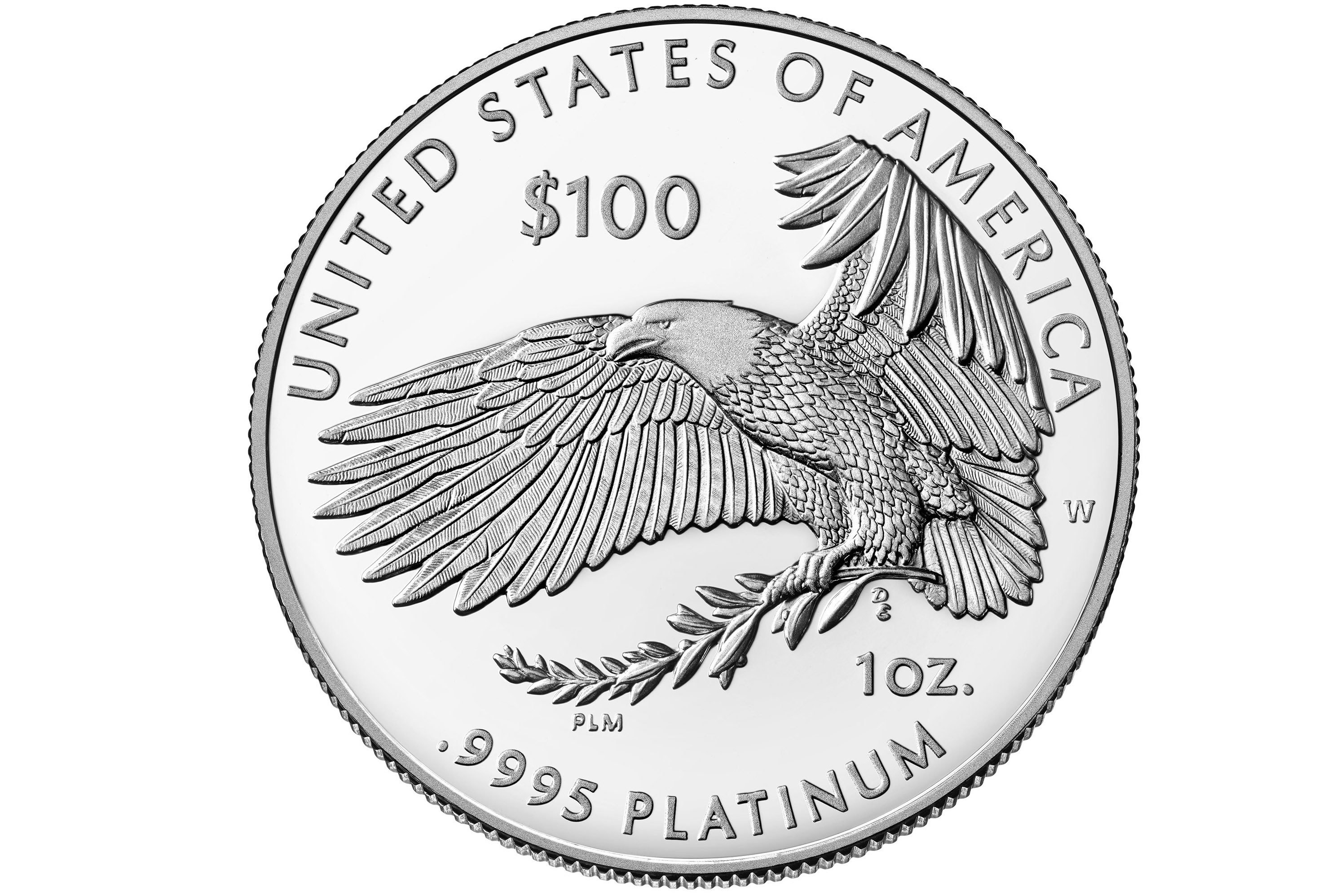 A $100 platinum coin. The idea was to mint one worth a trillion dollars.