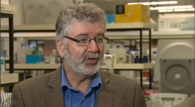 Professor Nigel McMillan has said the drug can nearly remove all COVID cells from a recipient's lungs.