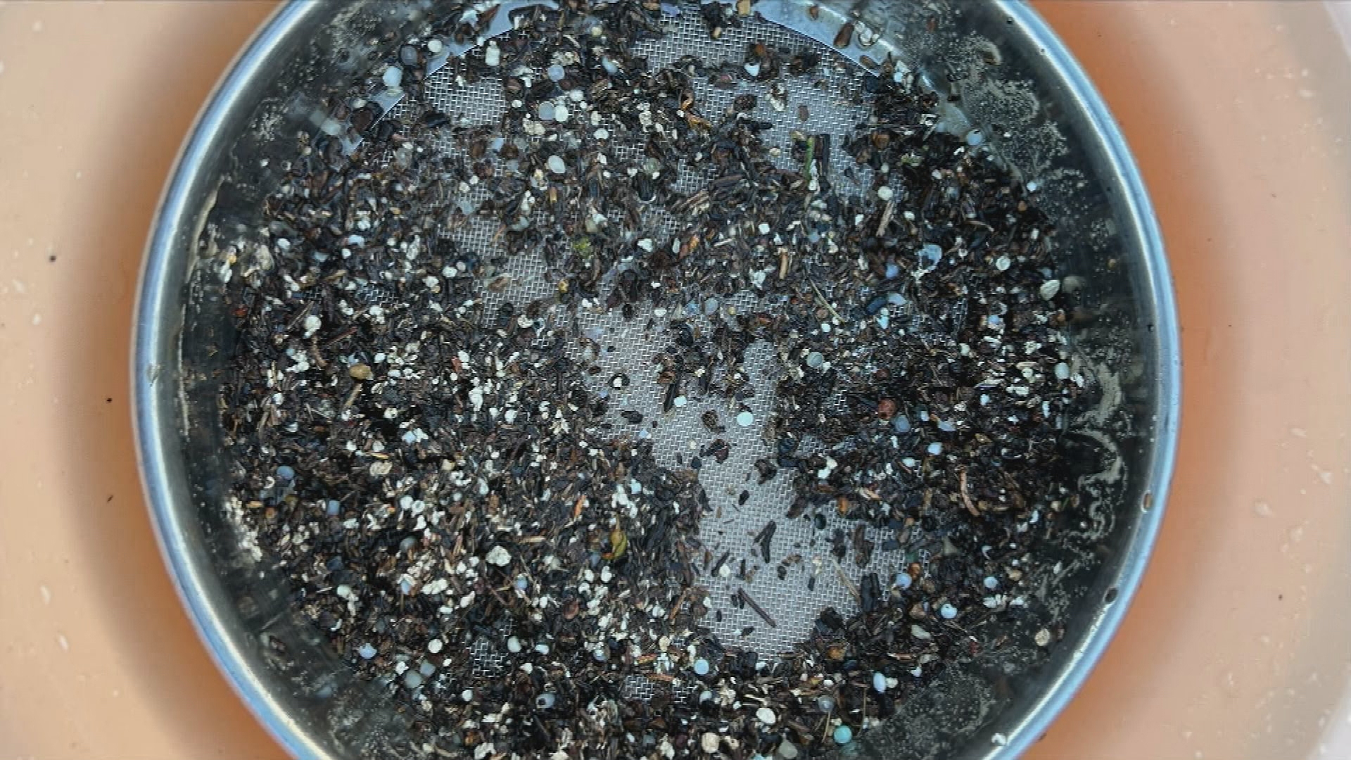 Microplastics are a more recognised issue across the world.