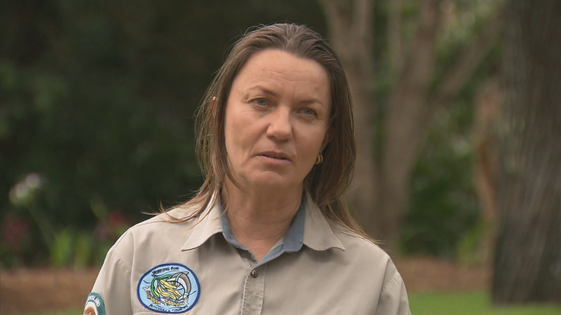 Rangers on Queensland's K'gari Fraser Island are searching for an "aggressive" dingo, that mauled a five-year-old boy yesterday.The child is in a stable condition in hospital after being bitten five times at a campsite while on holiday.