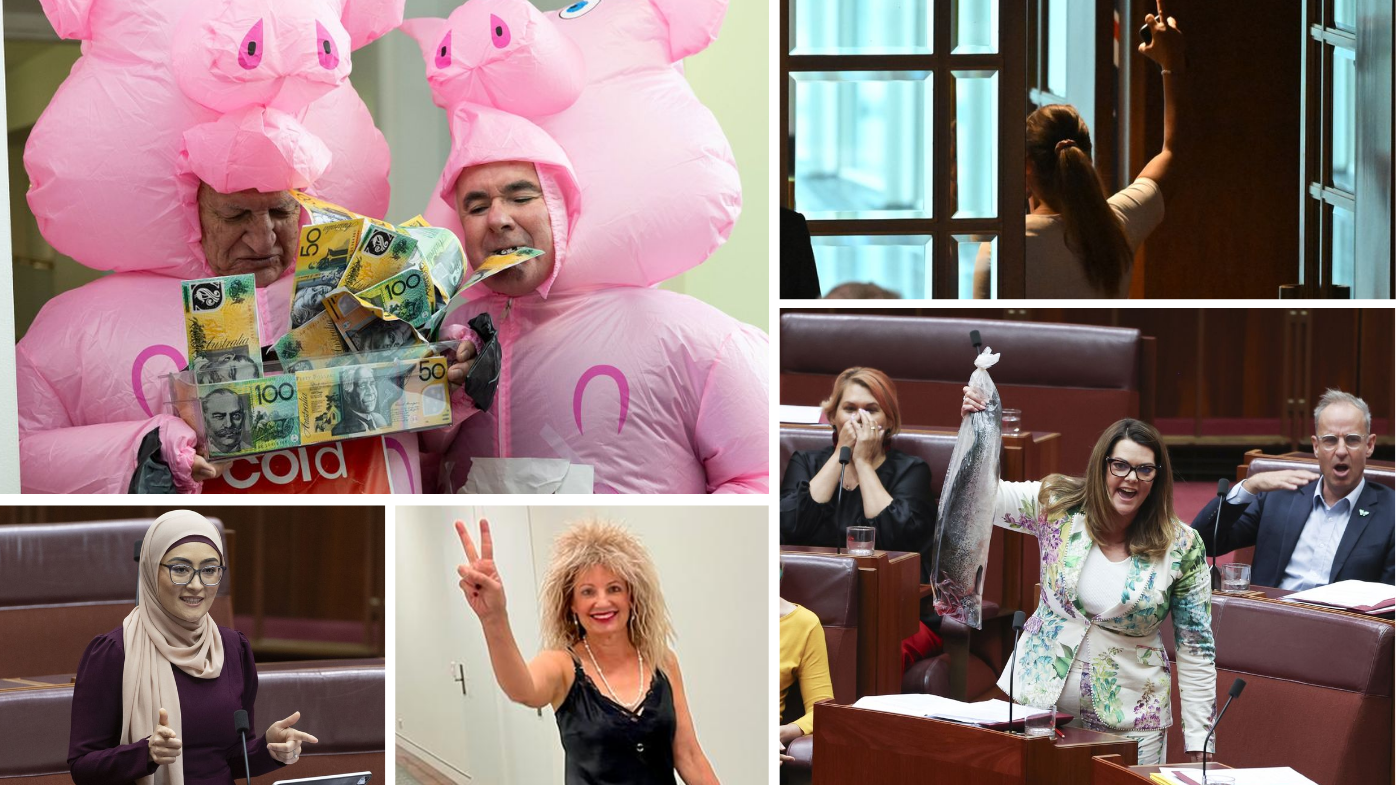 Dead fish, cash-snorting pigs: The strangest moments from the last parliament