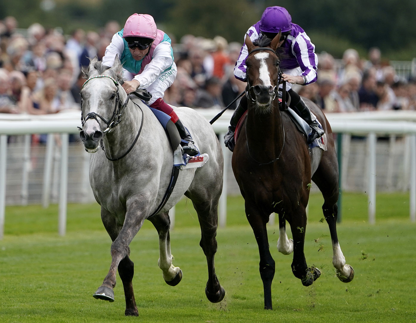 Melbourne Cup horses 2019 form guide, tips, updated odds, jockeys, barriers