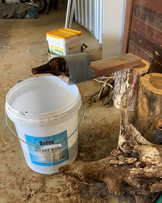 Homemade mouse store trap bucket