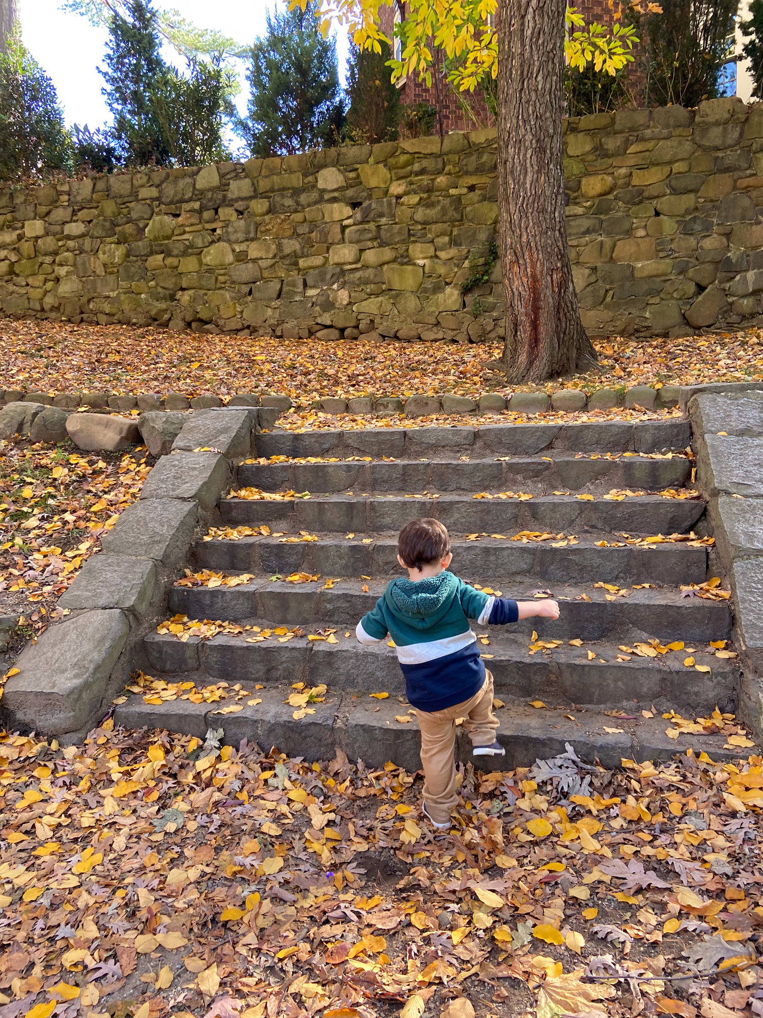 View of a boy walking up staircase