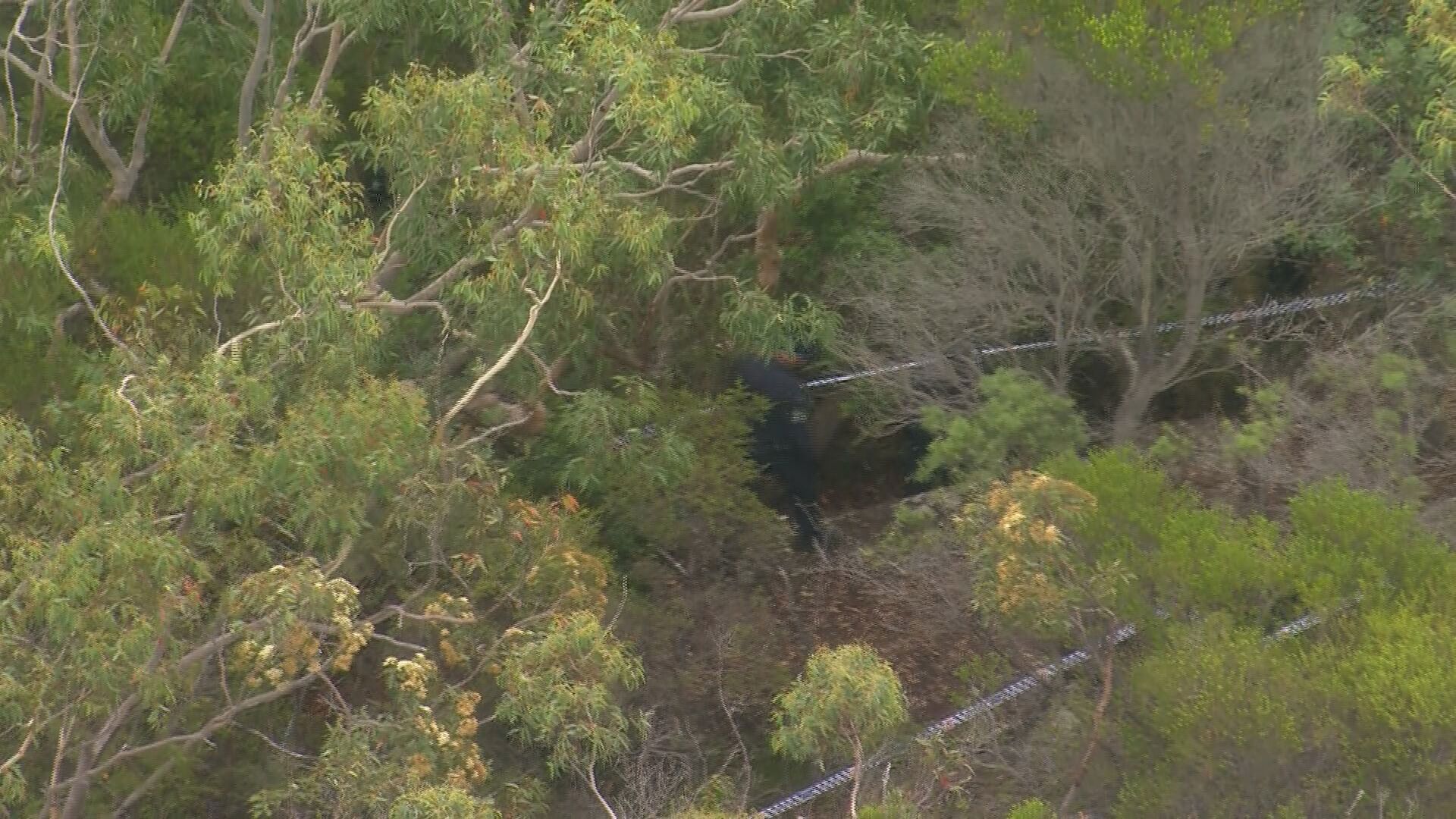 Police said "new information" had led them to the Royal National Park.