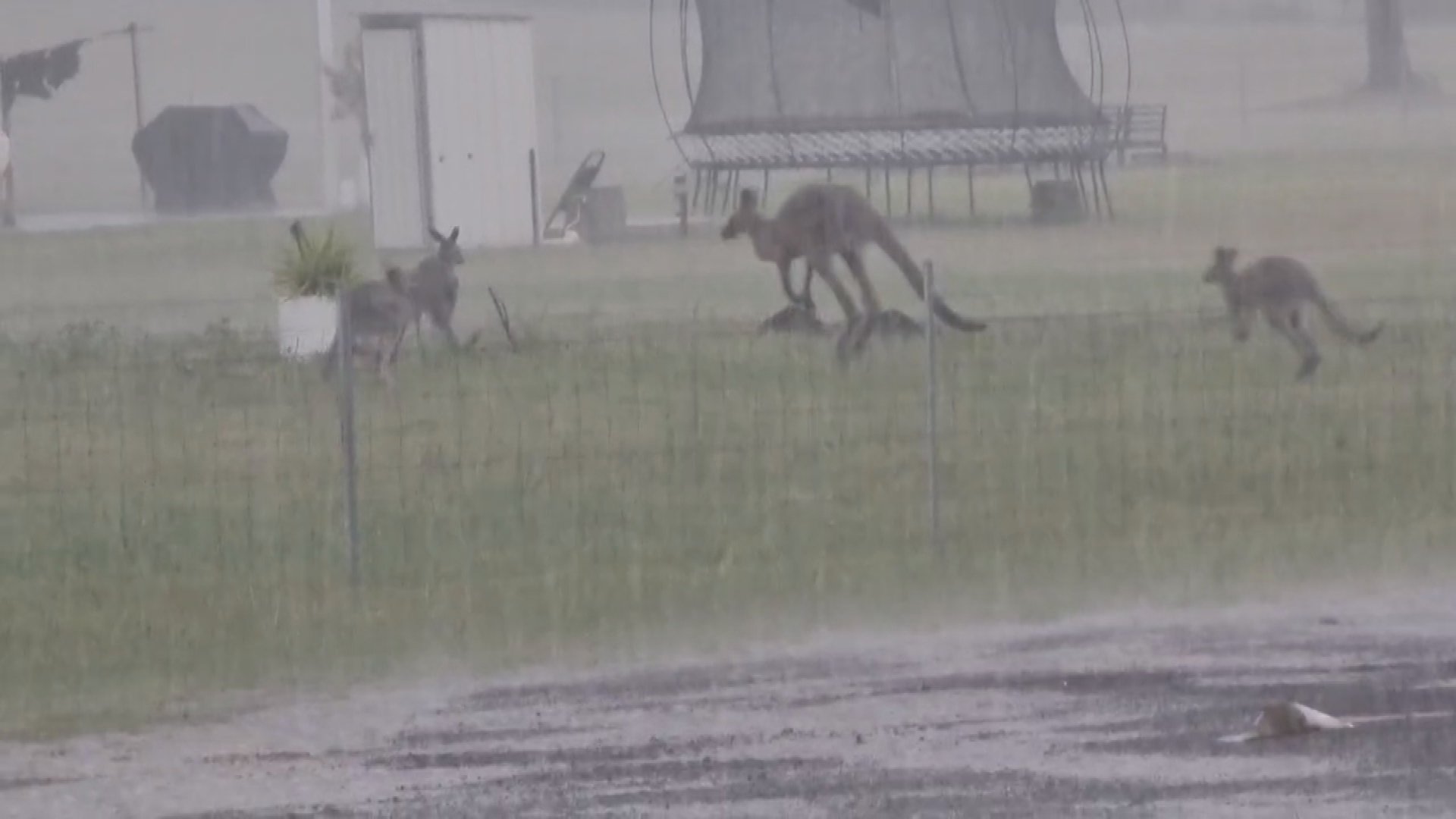 The SES has received over 620 calls this afternoon. 
