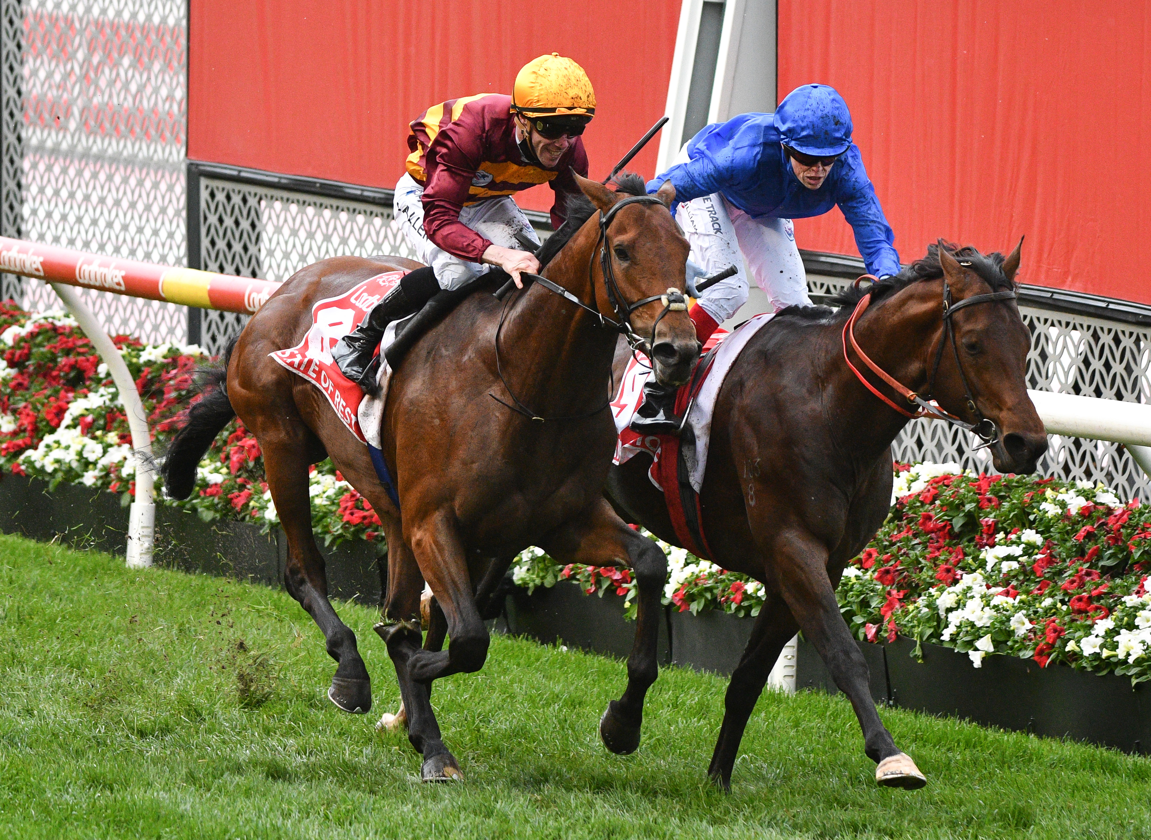 John Allen riding State Of Rest defeats Craig Williams riding Anamoe in the Cox Plate.