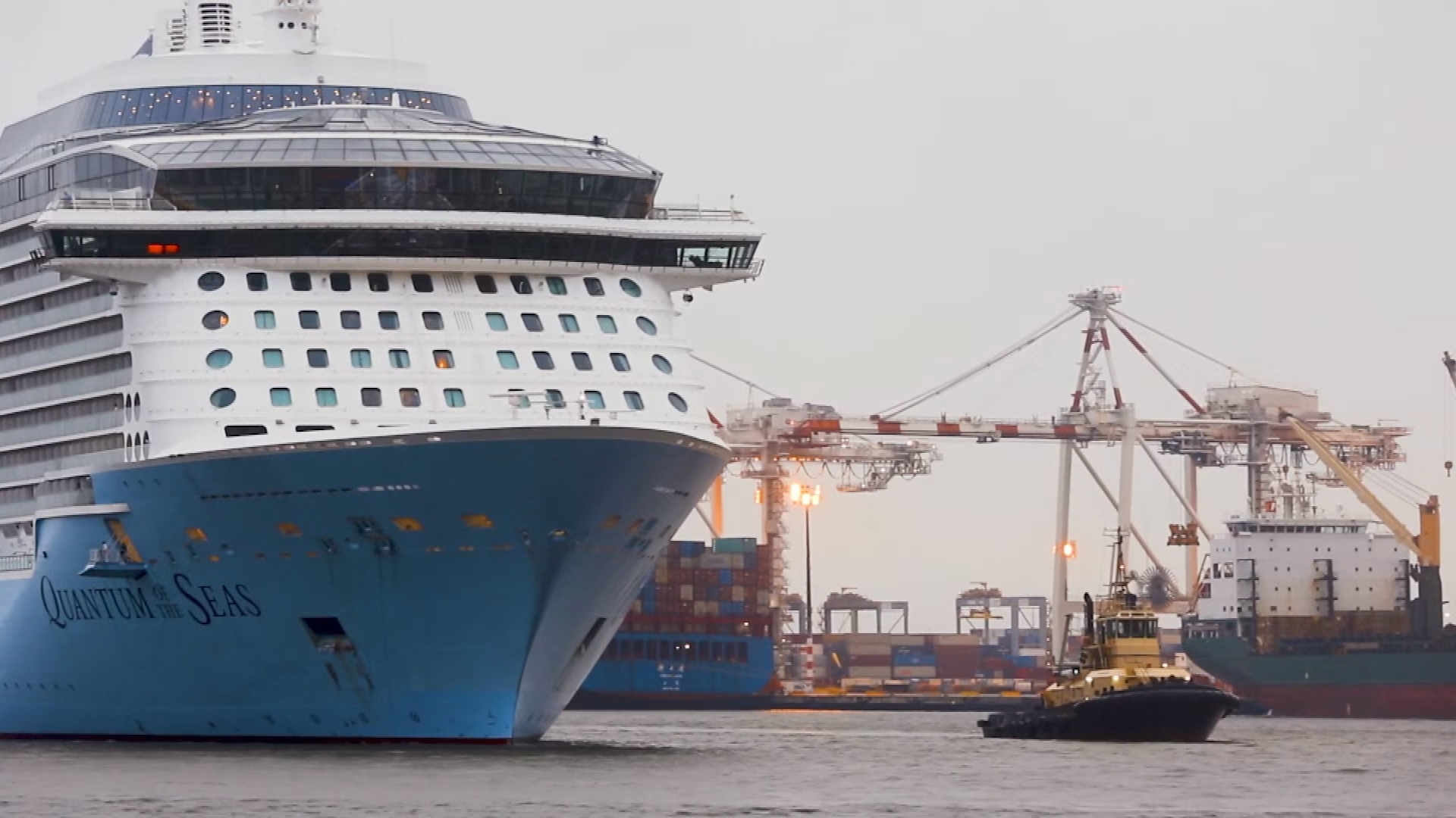 Hombre australiano cae al agua en crucero con destino a Hawái