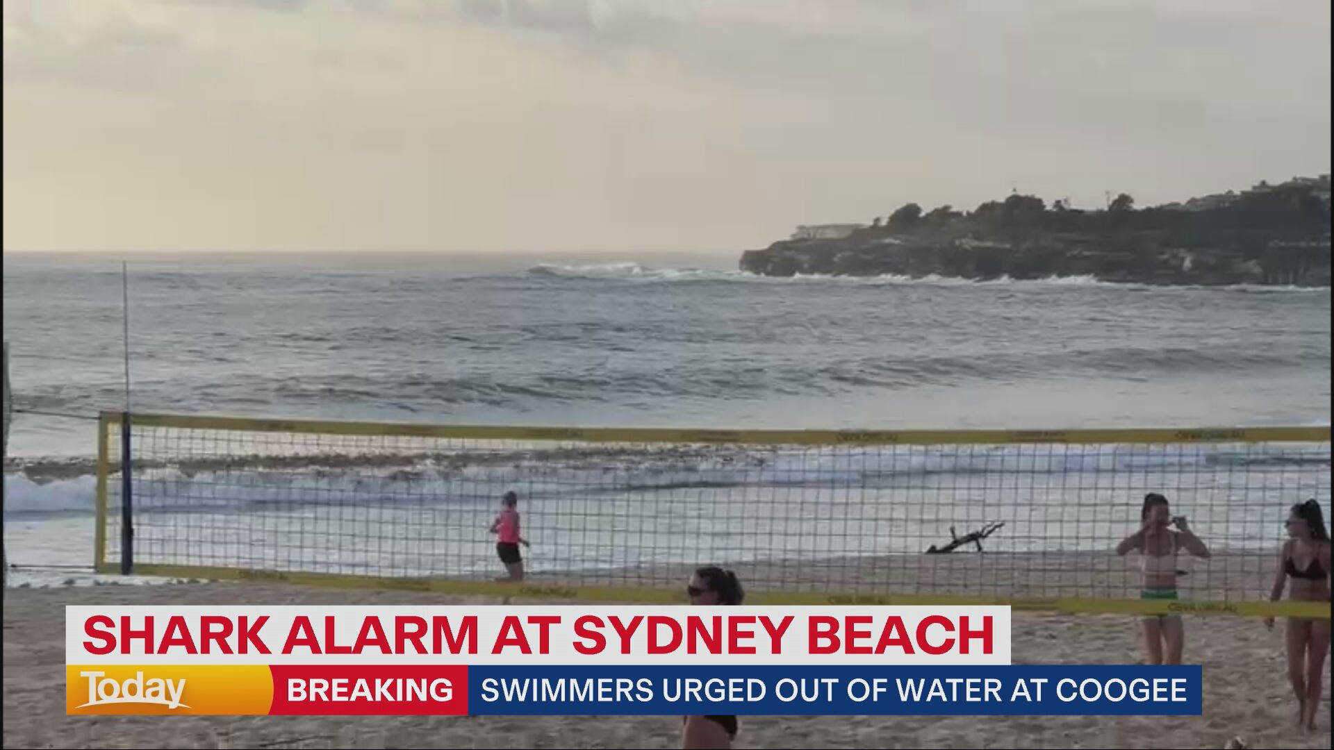 Shark alarm drives morning swimmers to shore in Sydney