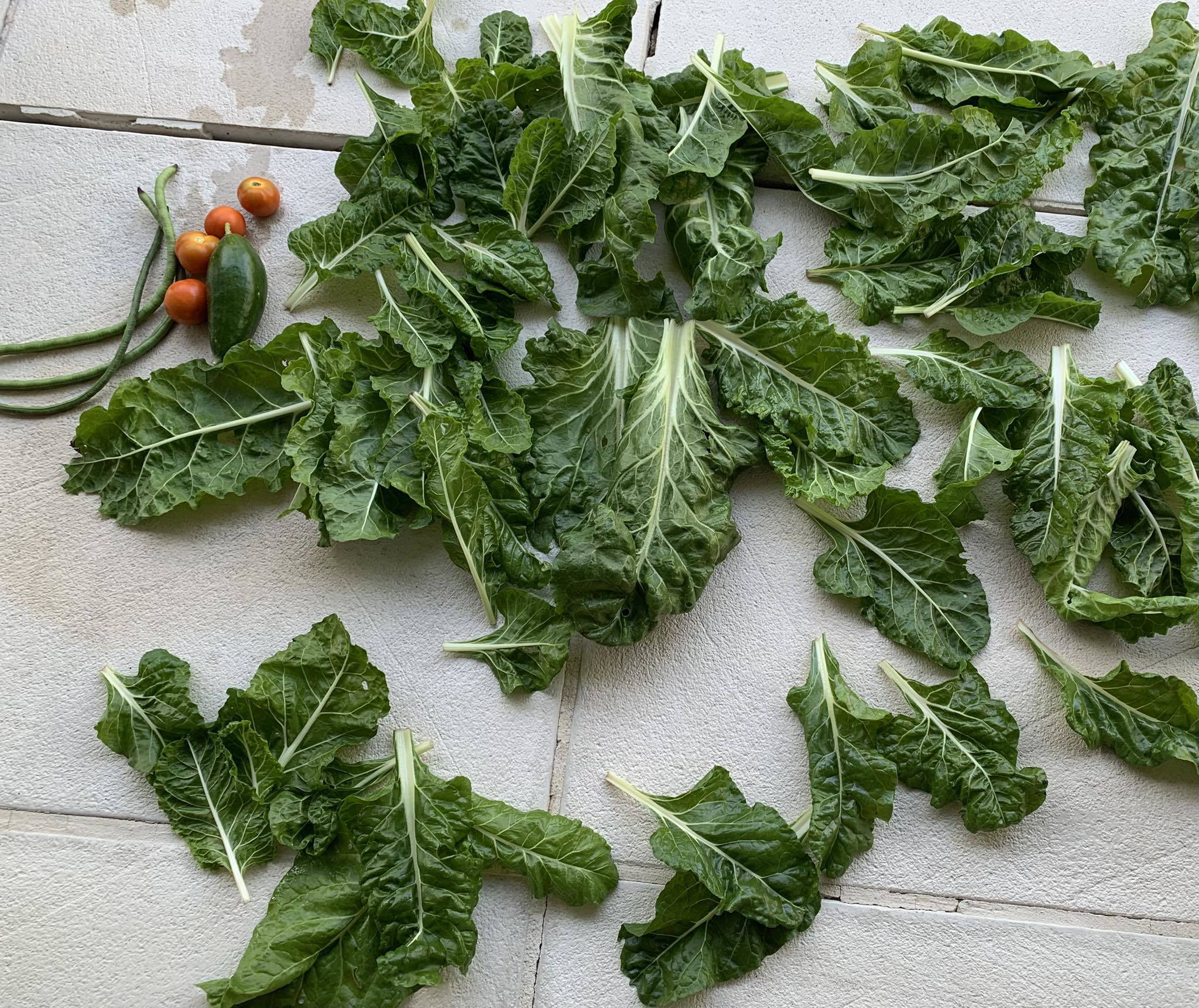 The couple likes to keep their gardening costs to a minimum.