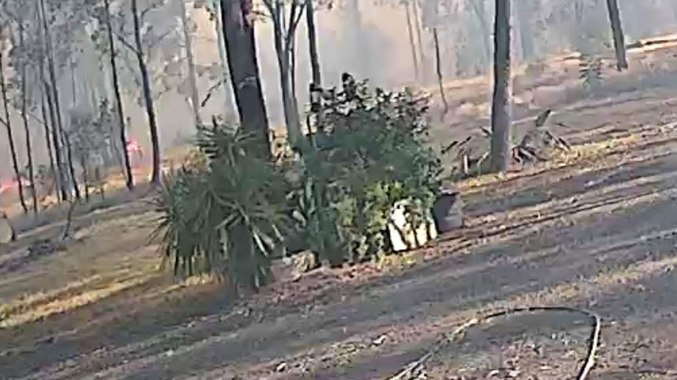 Bushfire destroys homes Tara, 300km west of Brisbane, in Queensland.