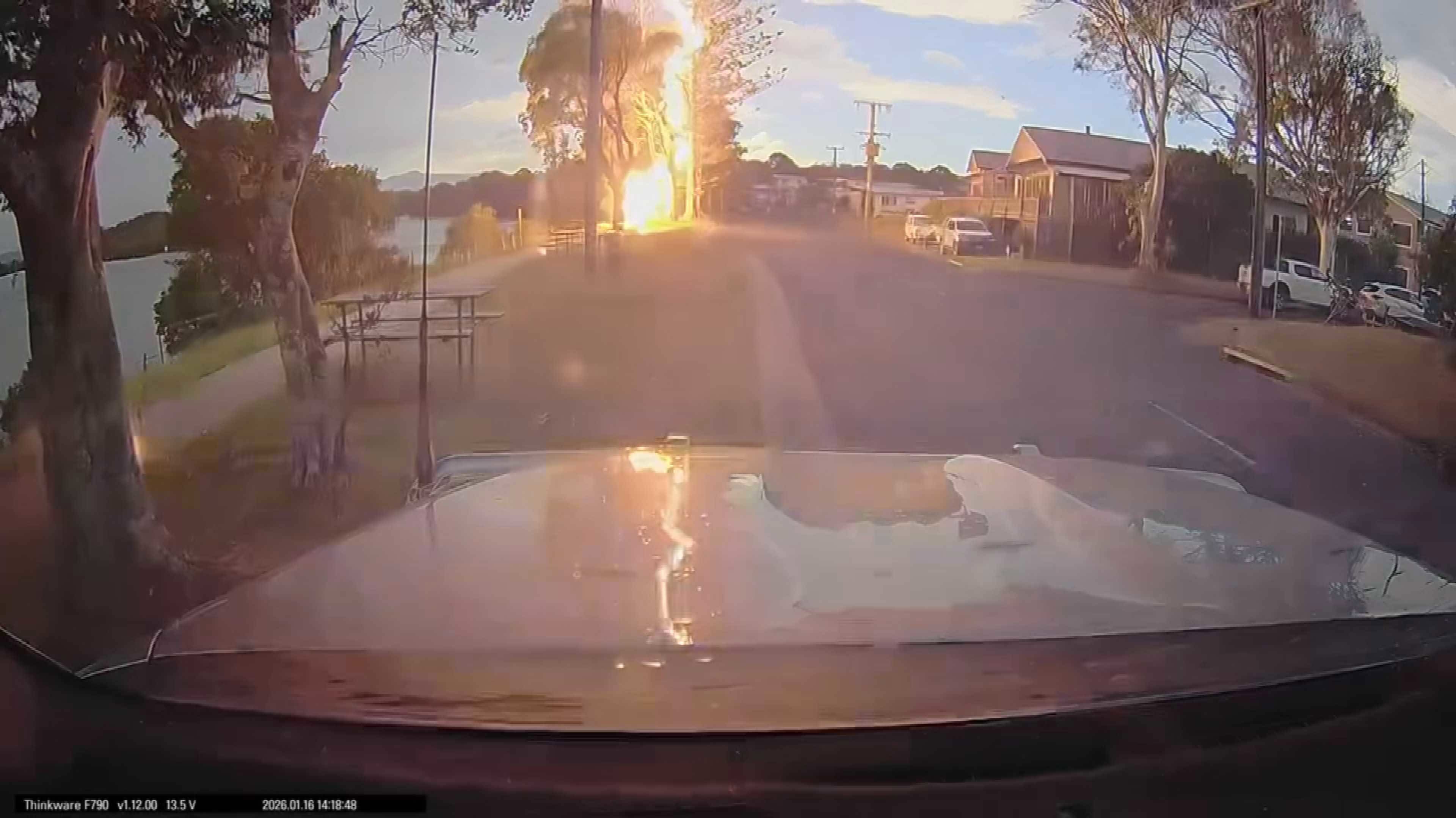 The motorist got a fright when the bolt hit right in front of him at Bellingen in NSW on Friday night.