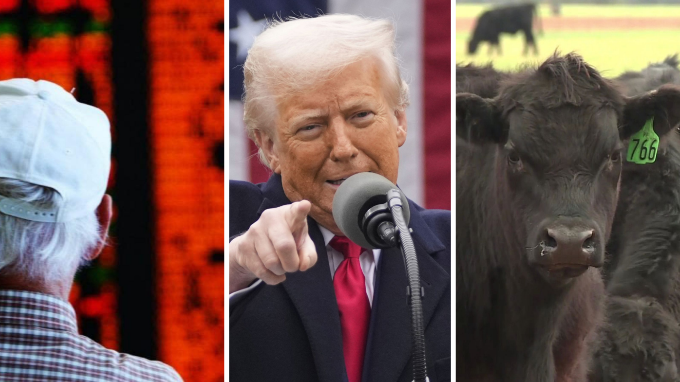 How hard will Trump's new tariffs impact the Australian economy?